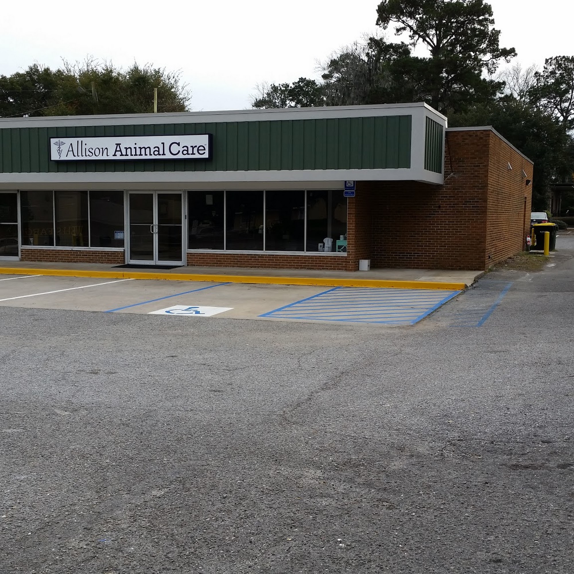 Allison Animal Care Savannah