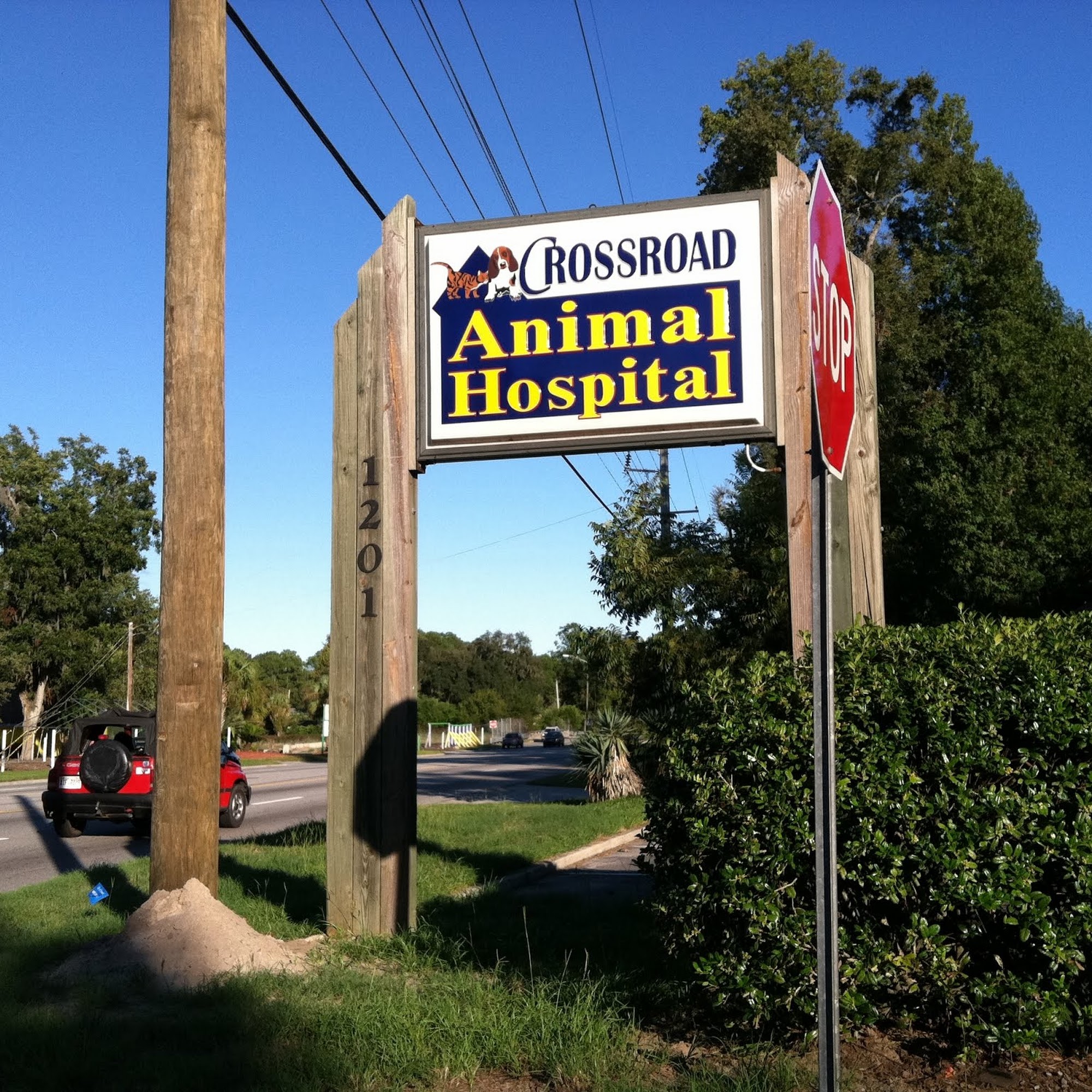 Crossroad Animal Hospital Savannah