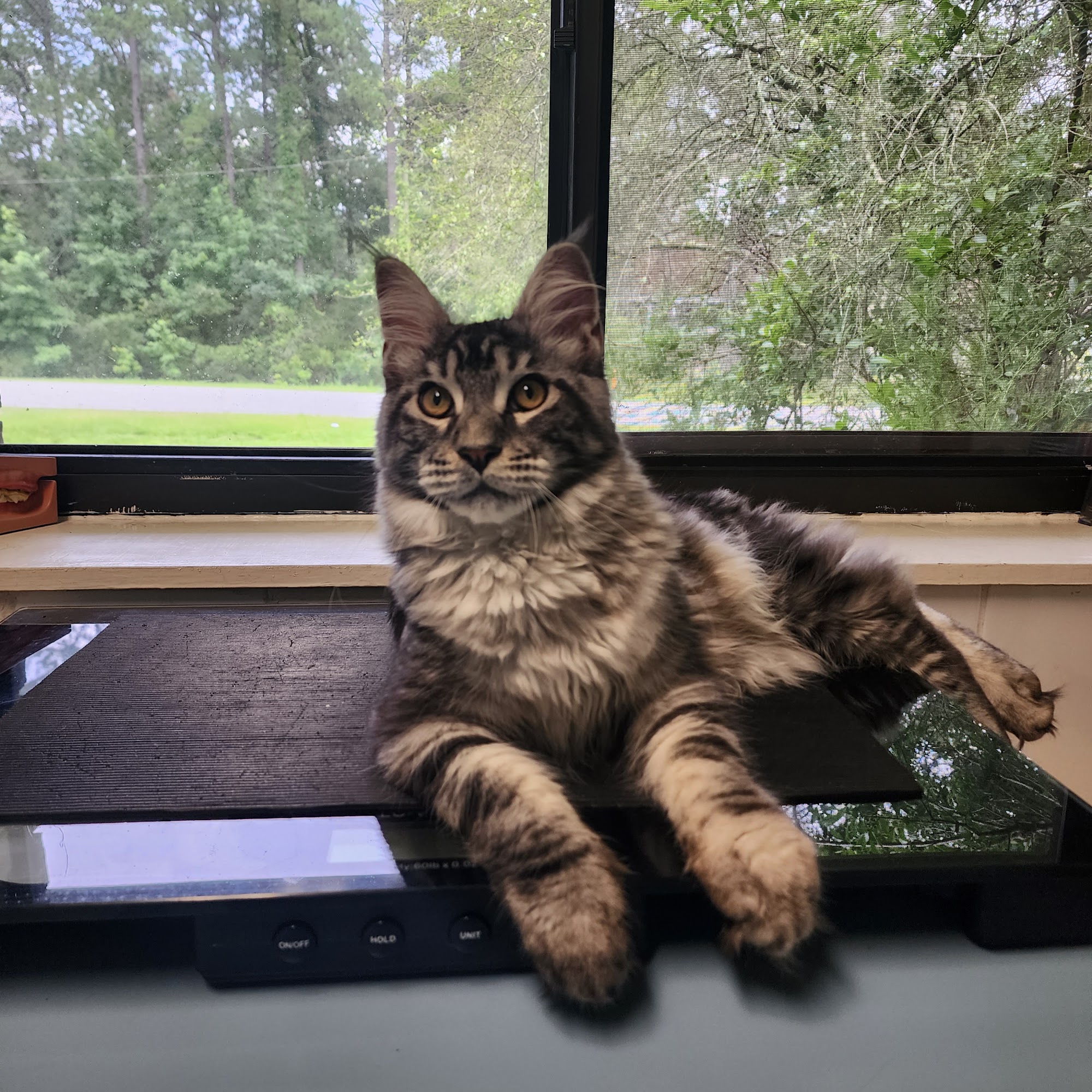 204 Animal Hospital Savannah