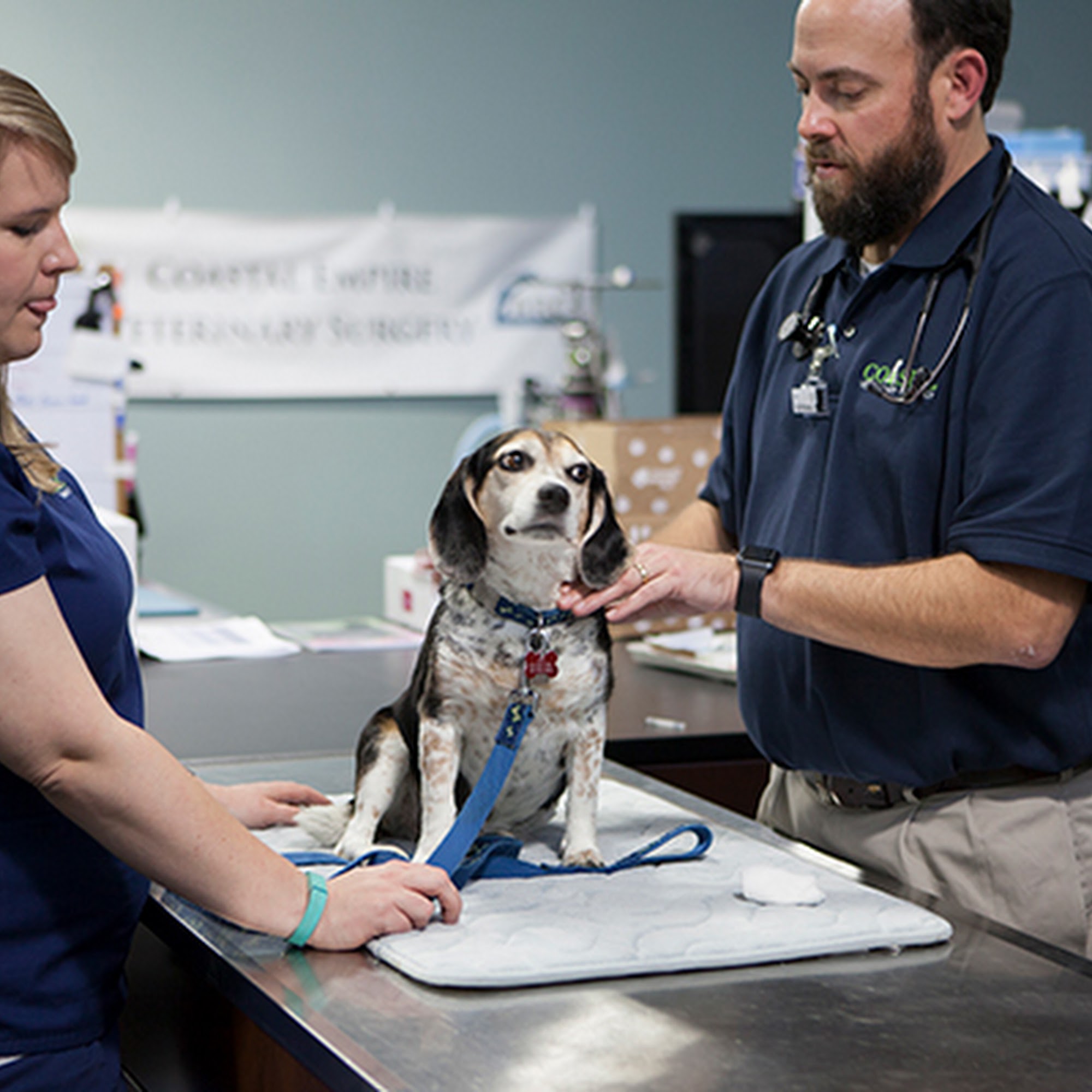 Coastal Veterinary Oncology Savannah