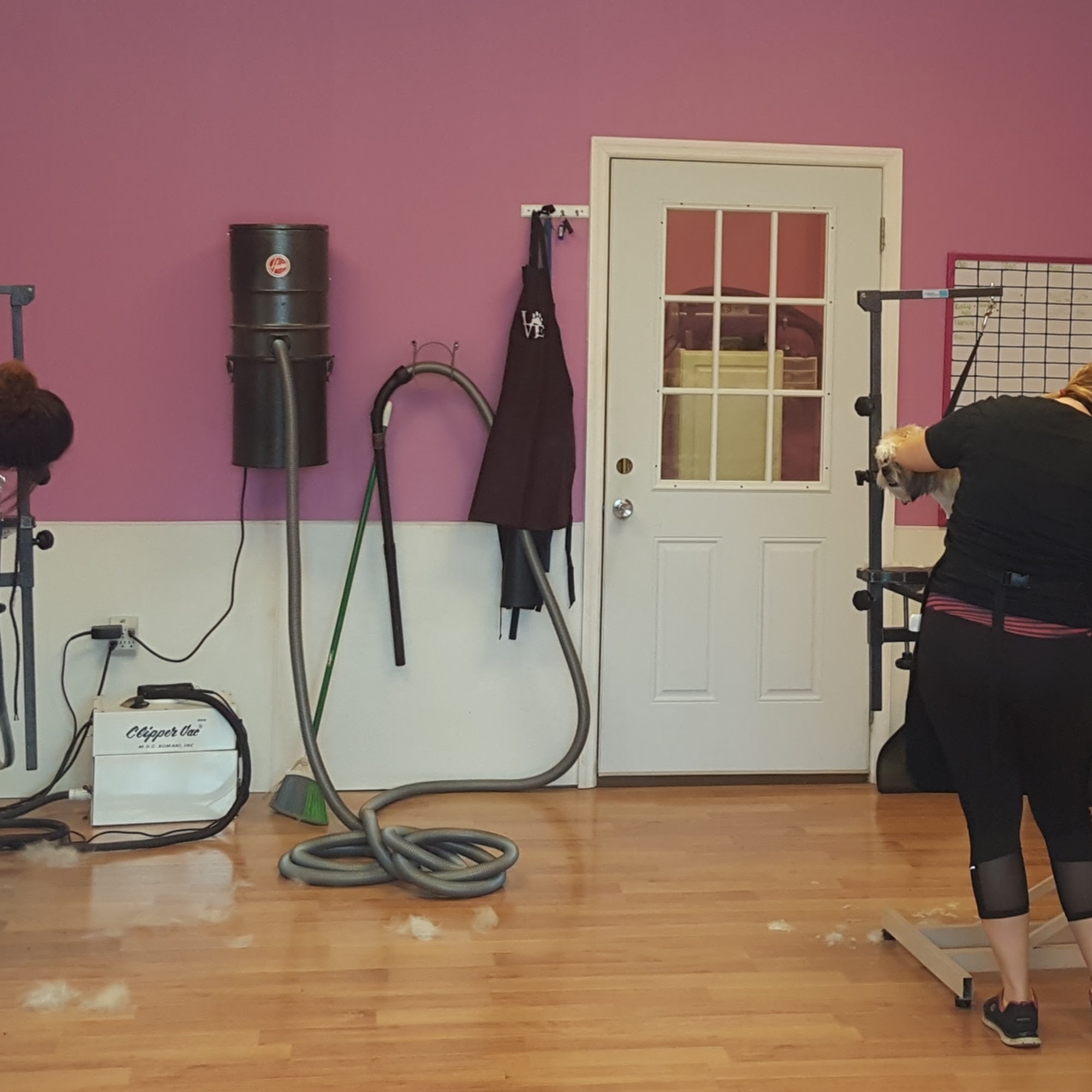 Top Dog Grooming Spa Savannah