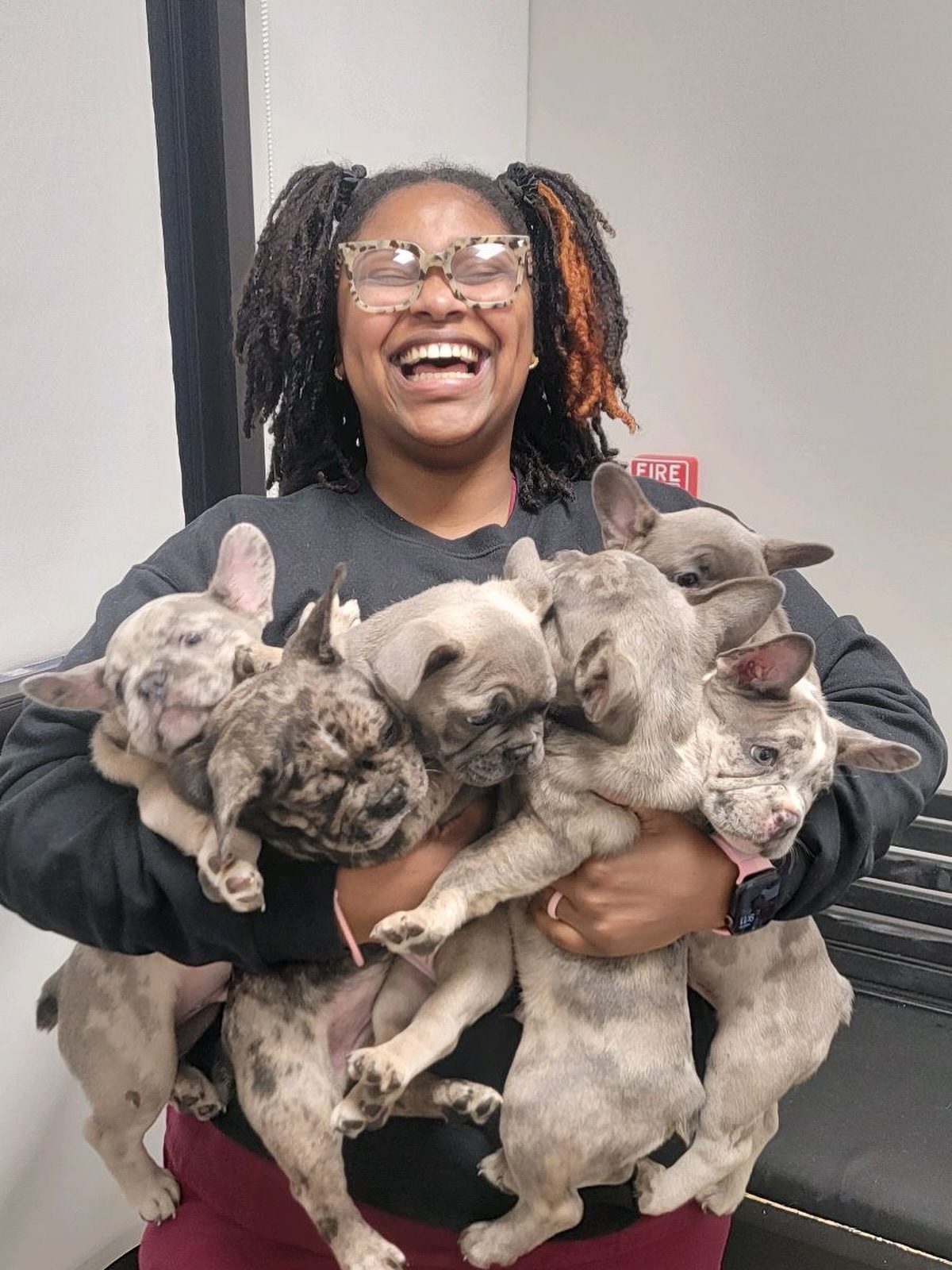 Port City Animal Hospital Savannah