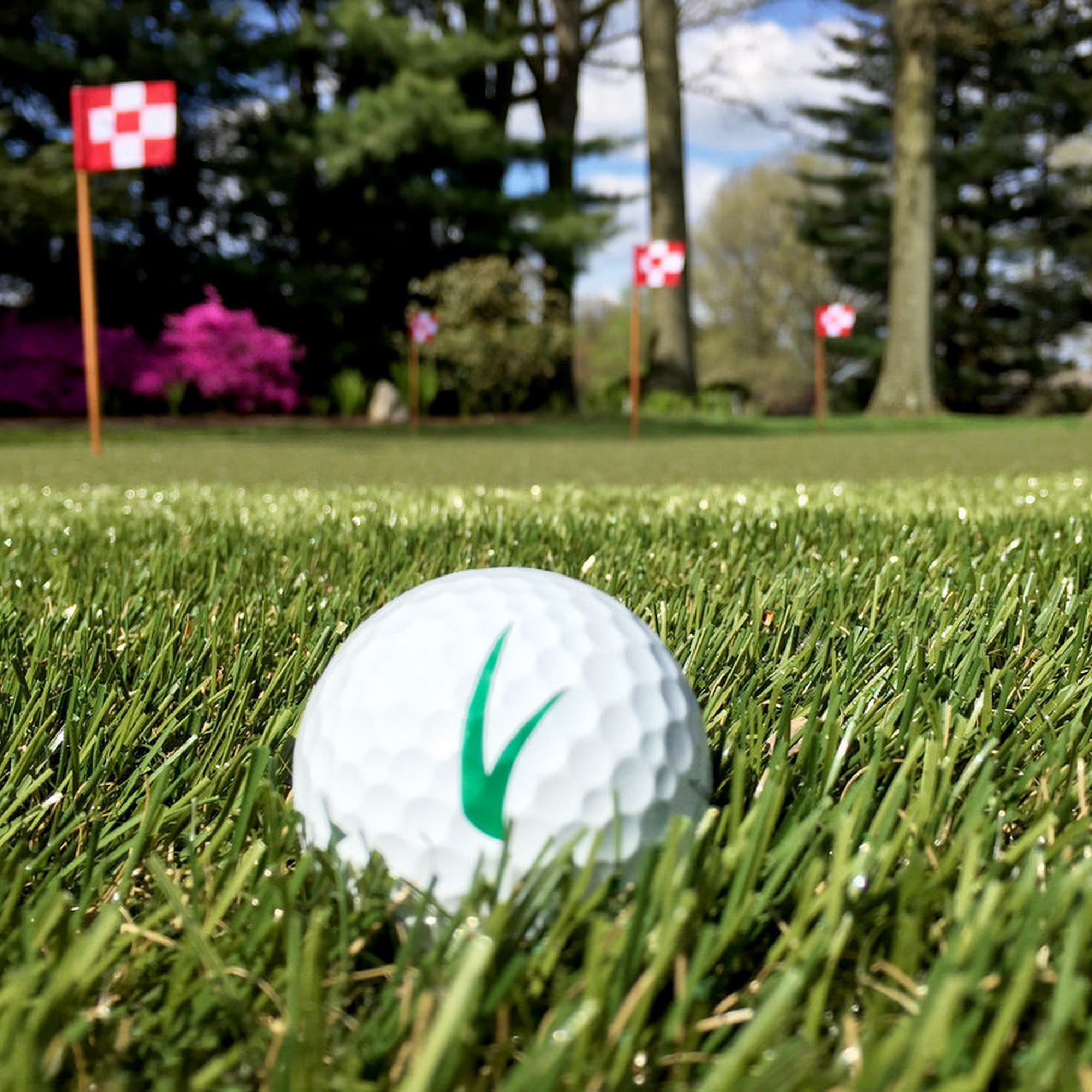 ForeverLawn Low Country Savannah