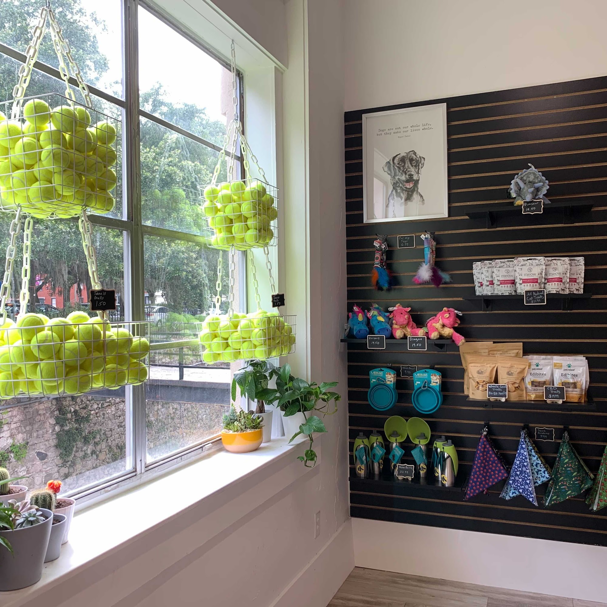 Wheelie Good Dog Treats Savannah