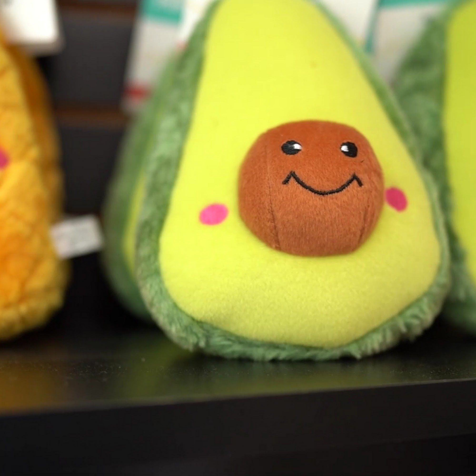 Wheelie Good Dog Treats Savannah