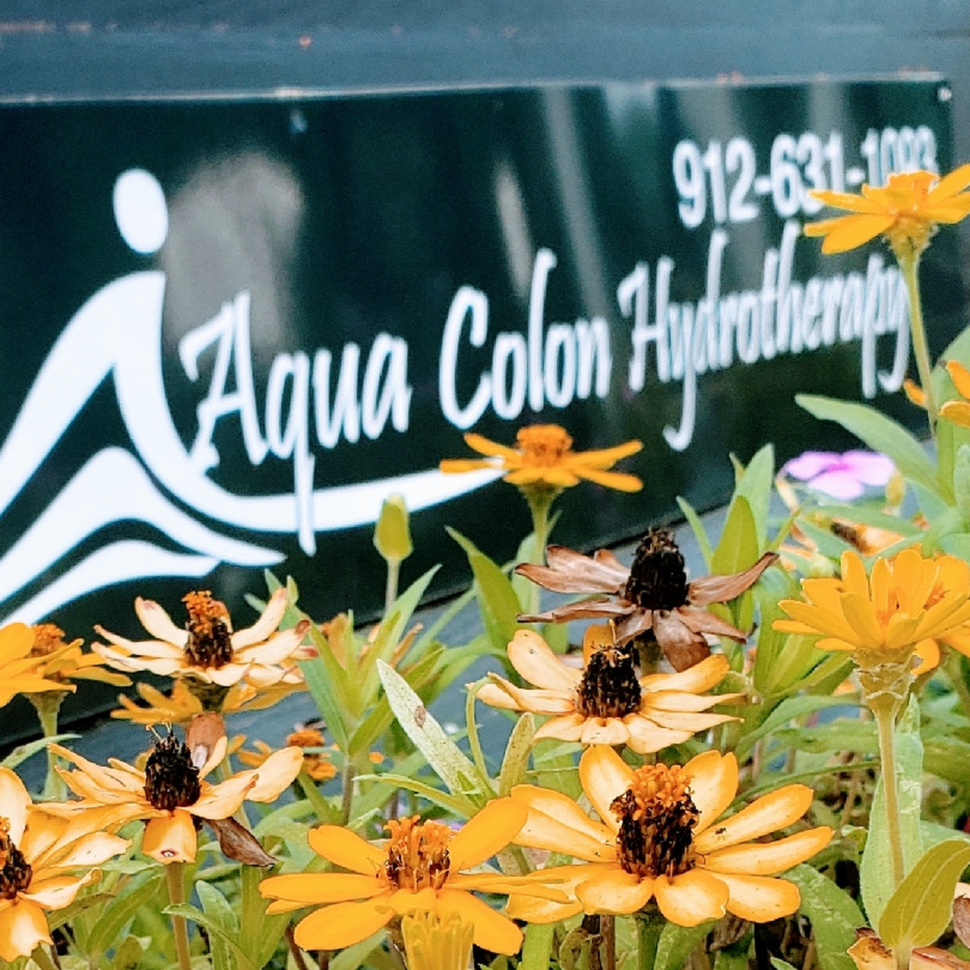 Aqua Colon Therapy 1209 E 66th St, Savannah Georgia 31404