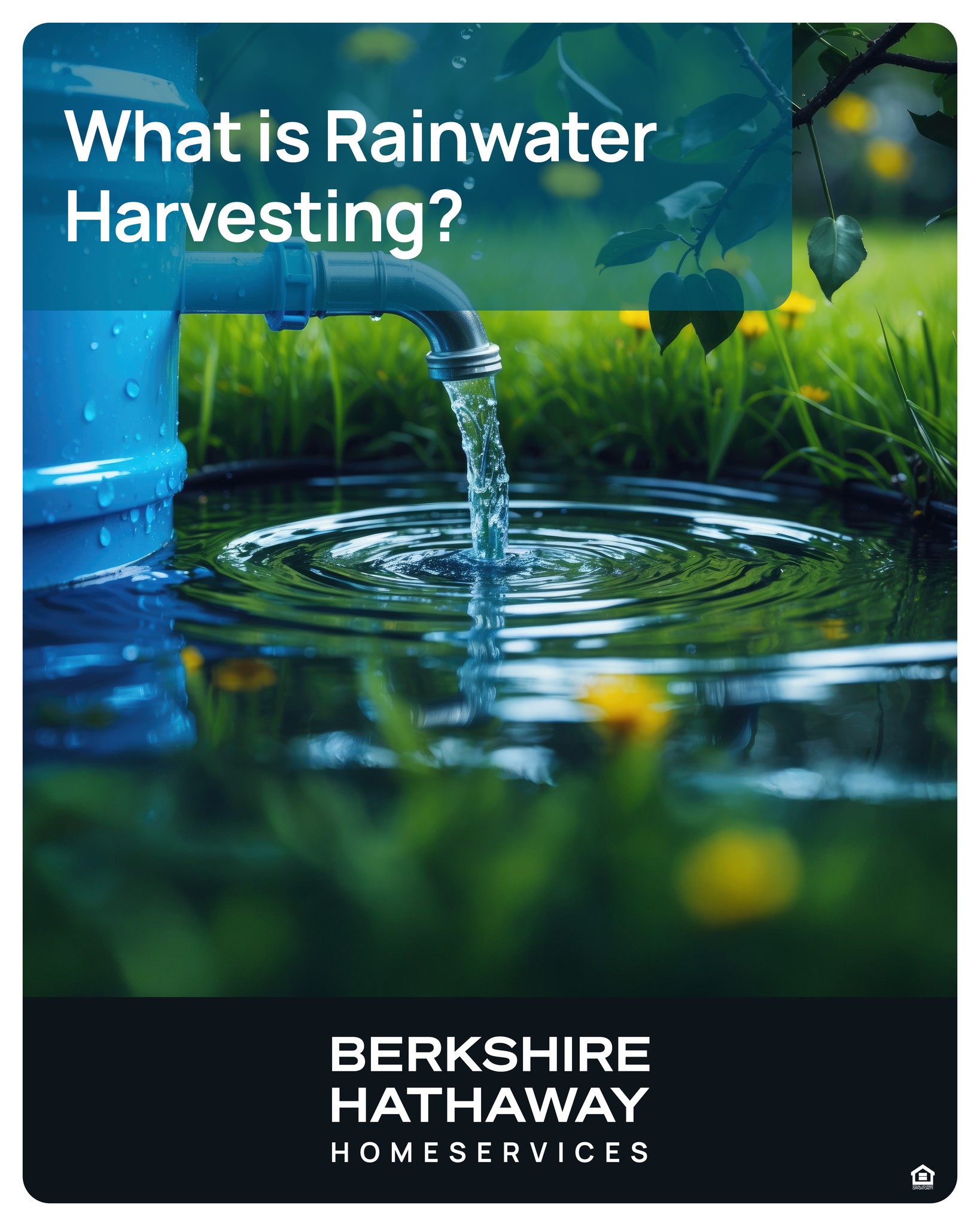 Dustin Shaw Homes Inc