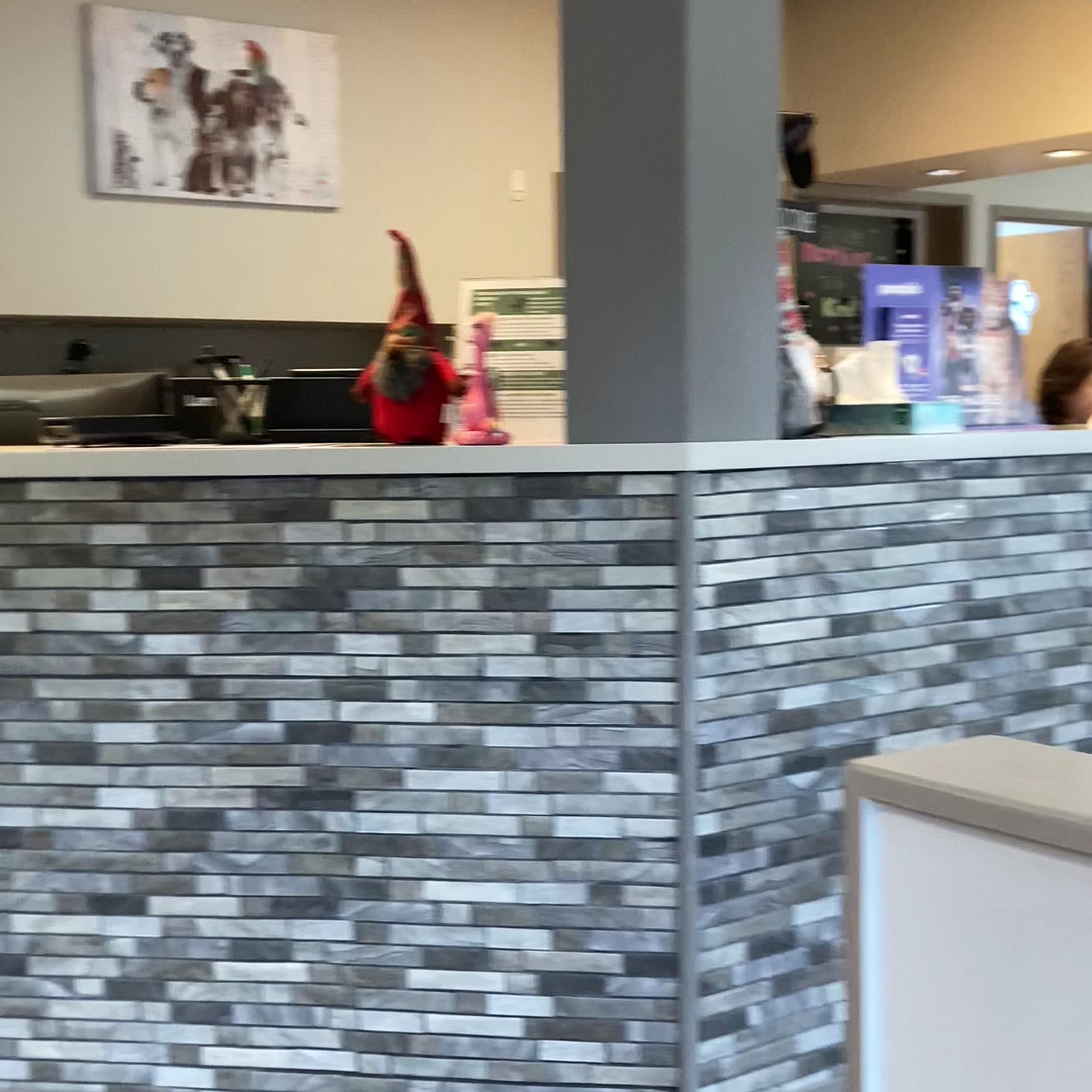 Chastain Animal Clinic Smyrna