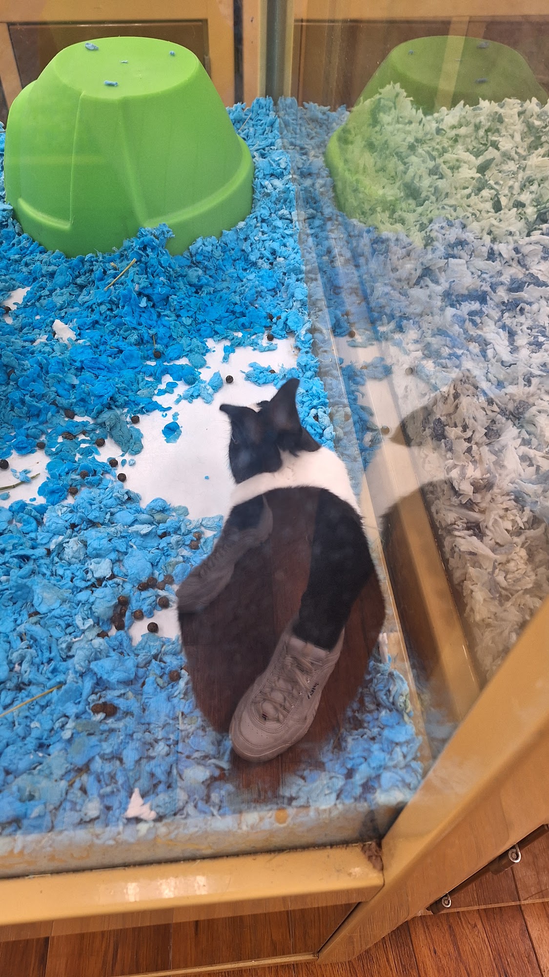 Pet Supermarket Smyrna