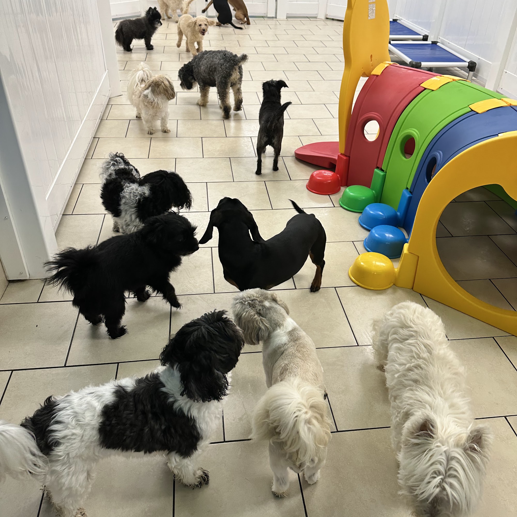 Hounds Town - Atlanta - Smyrna