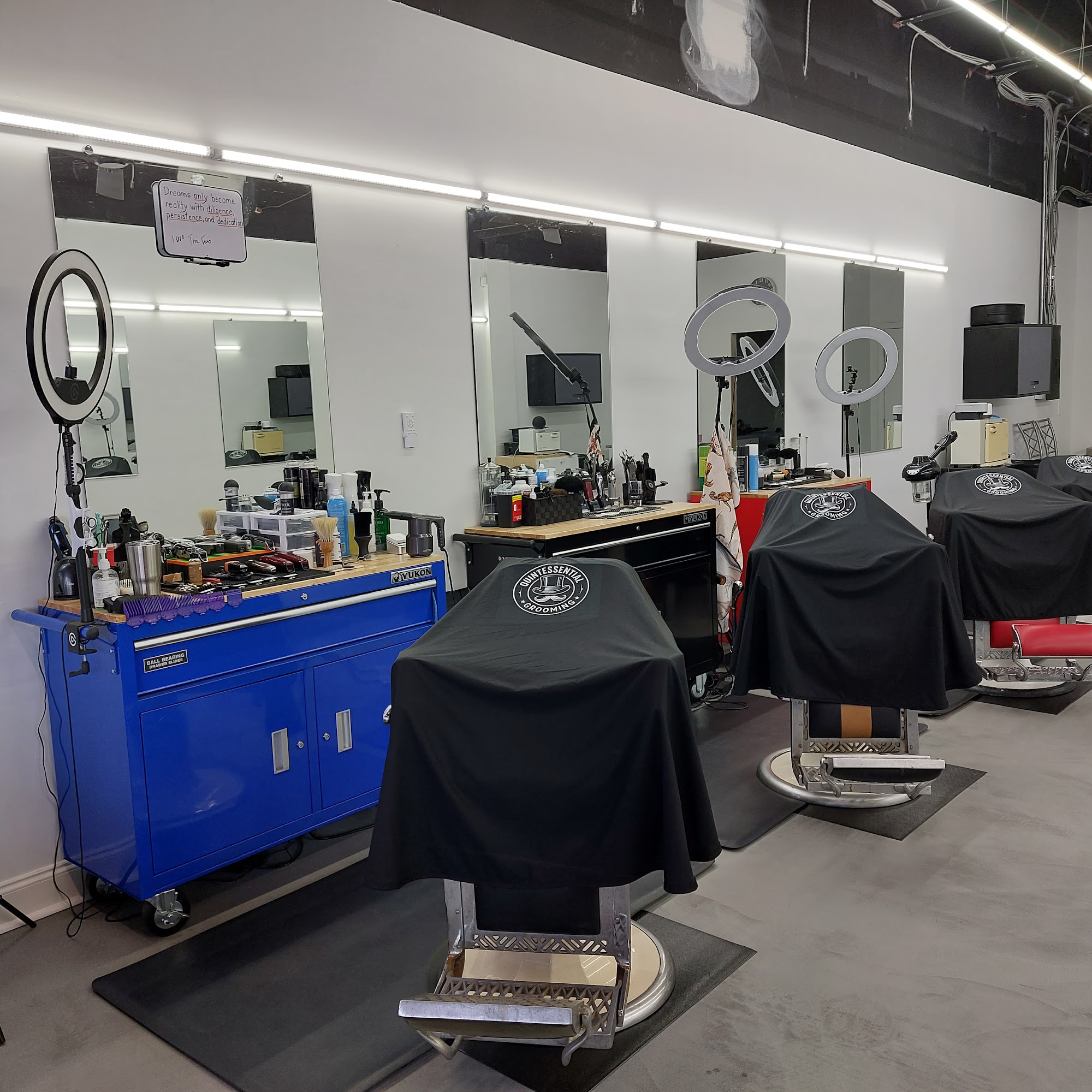 Quintessential Grooming 1797 Spring Rd SE Suite 2, Smyrna Georgia 30080