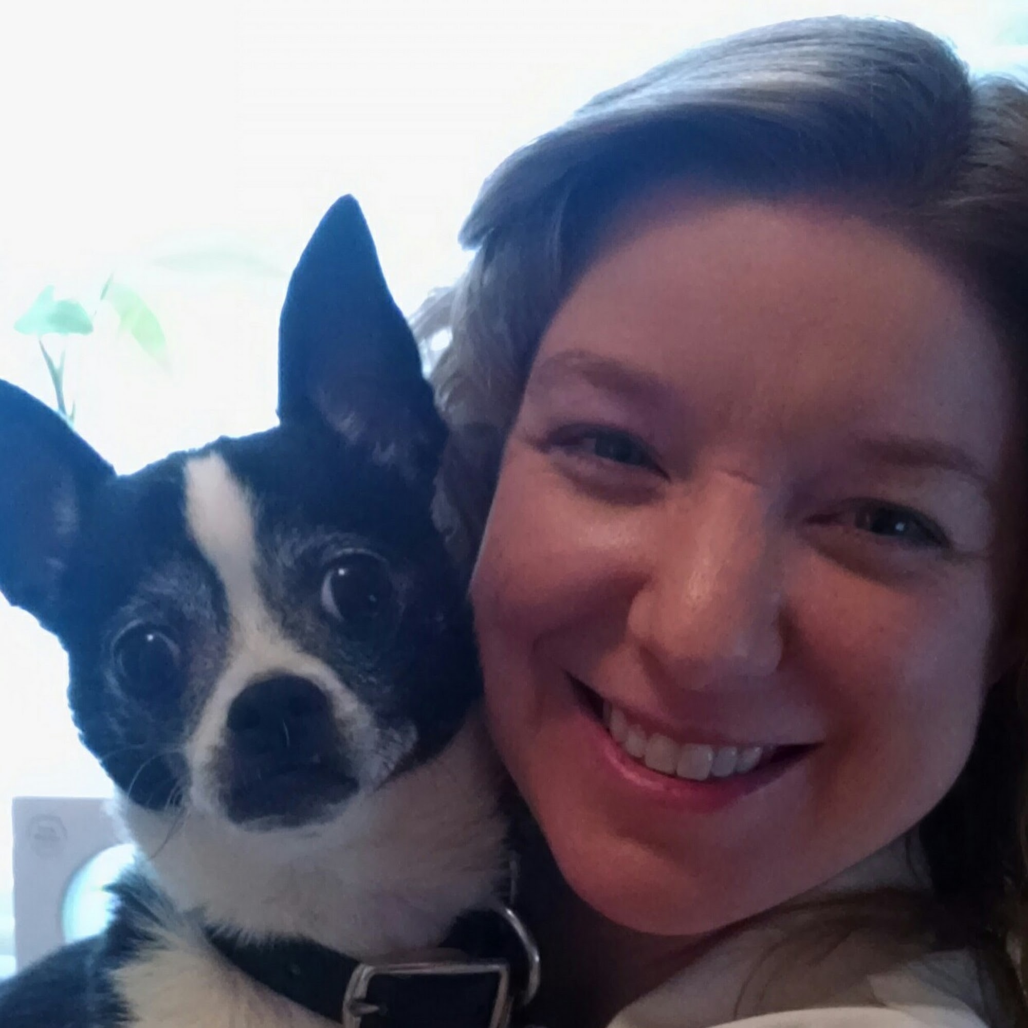 American Heritage Animal Hospital Snellville