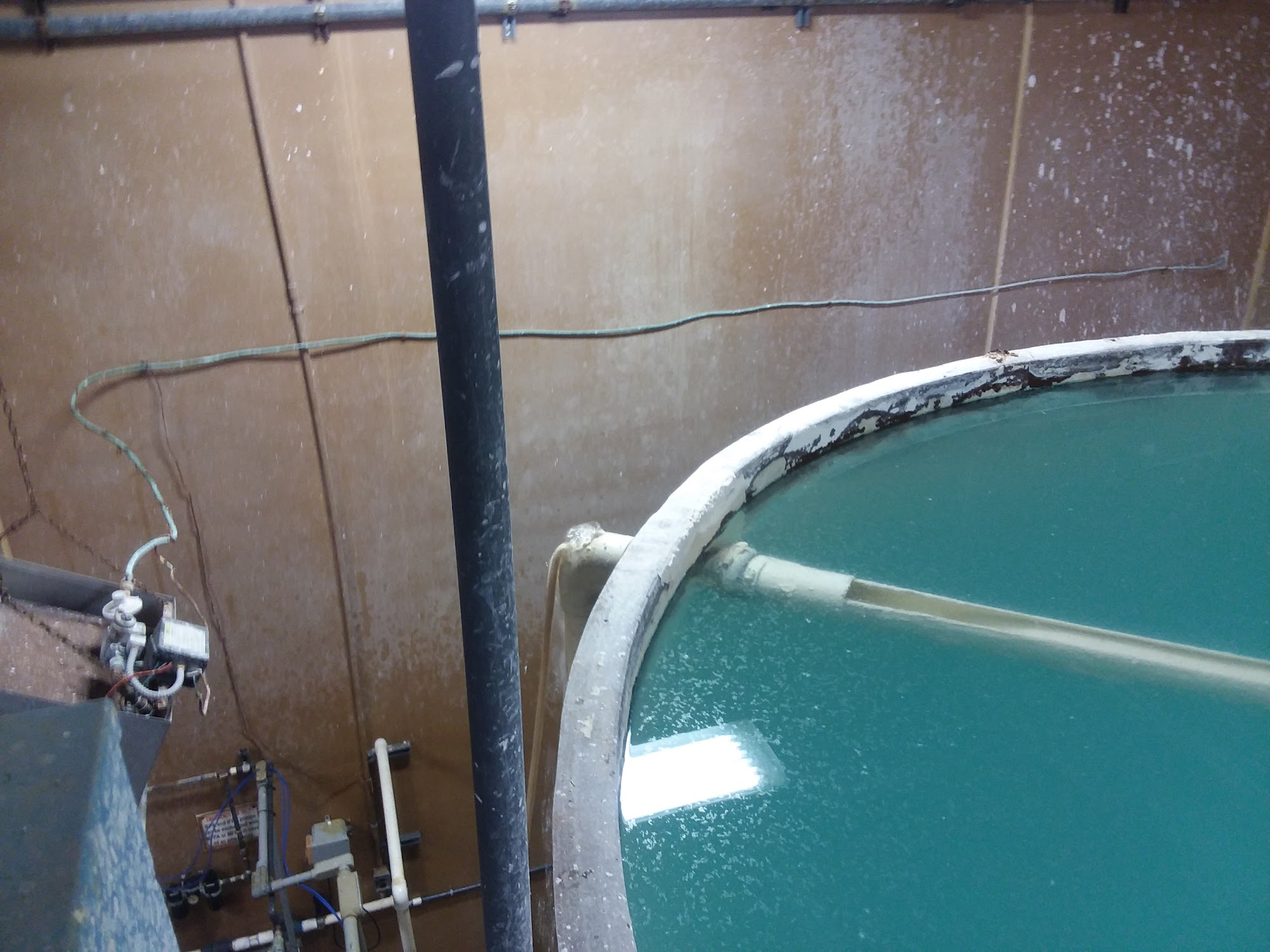 Verescence Sparta Sparta