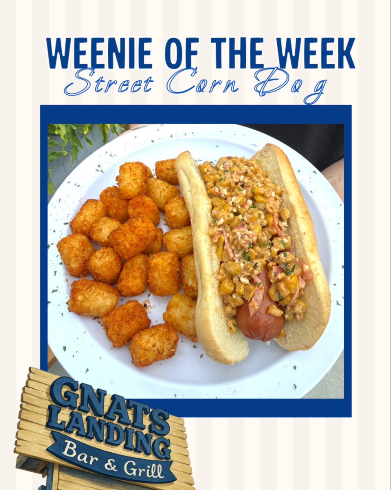 Gnat's Landing Statesboro