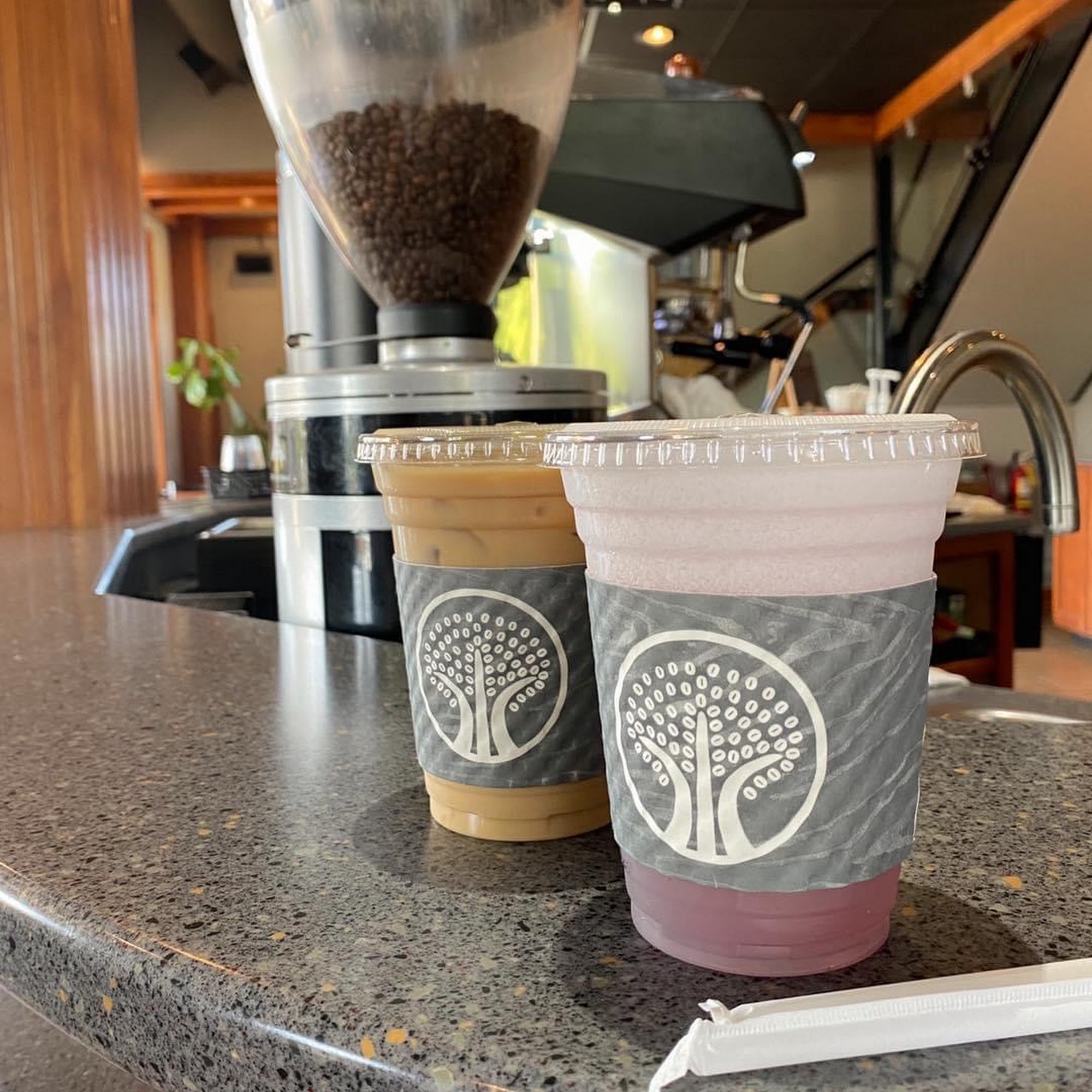 Three Tree Coffee at GSU Statesboro