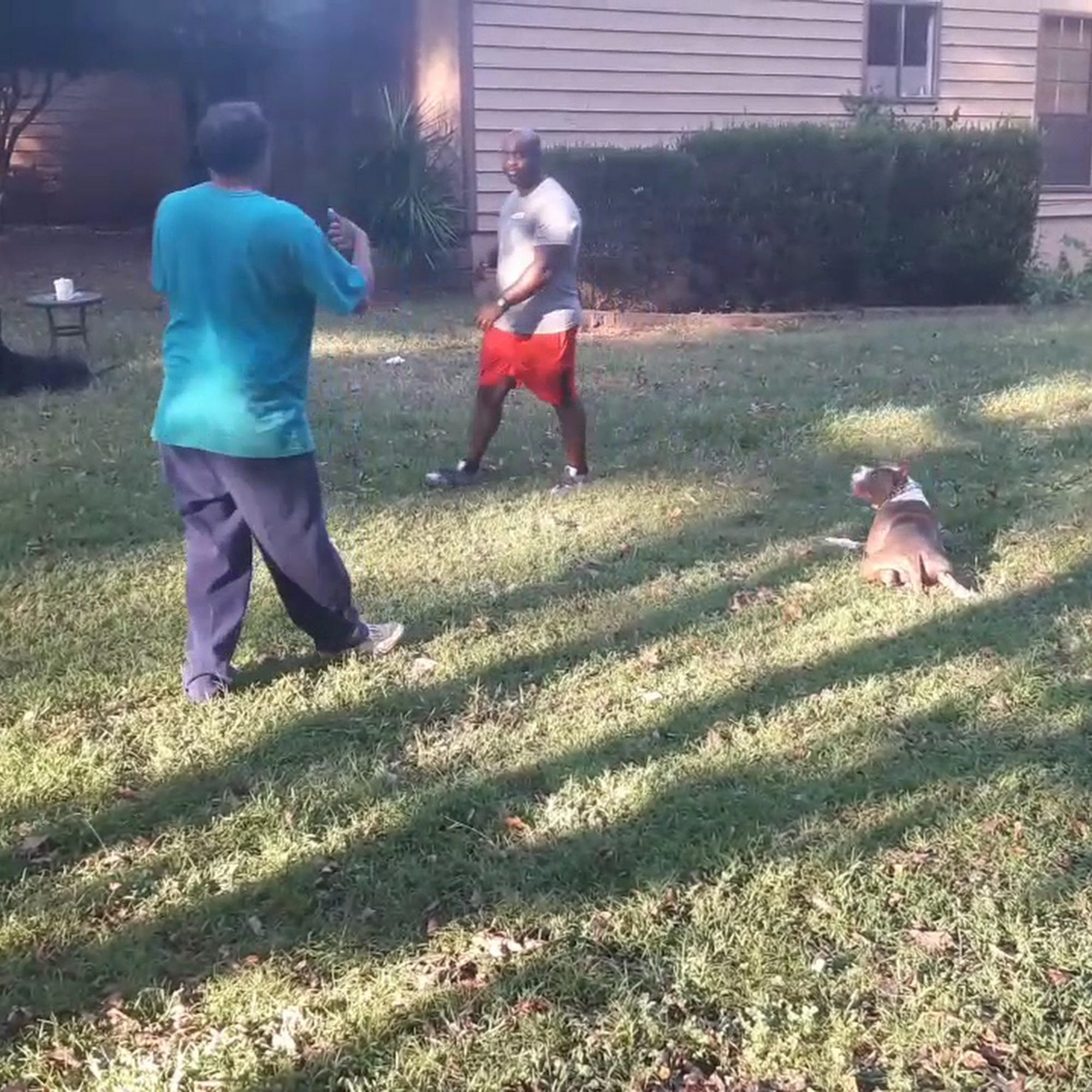 K9 Consultants Stockbridge