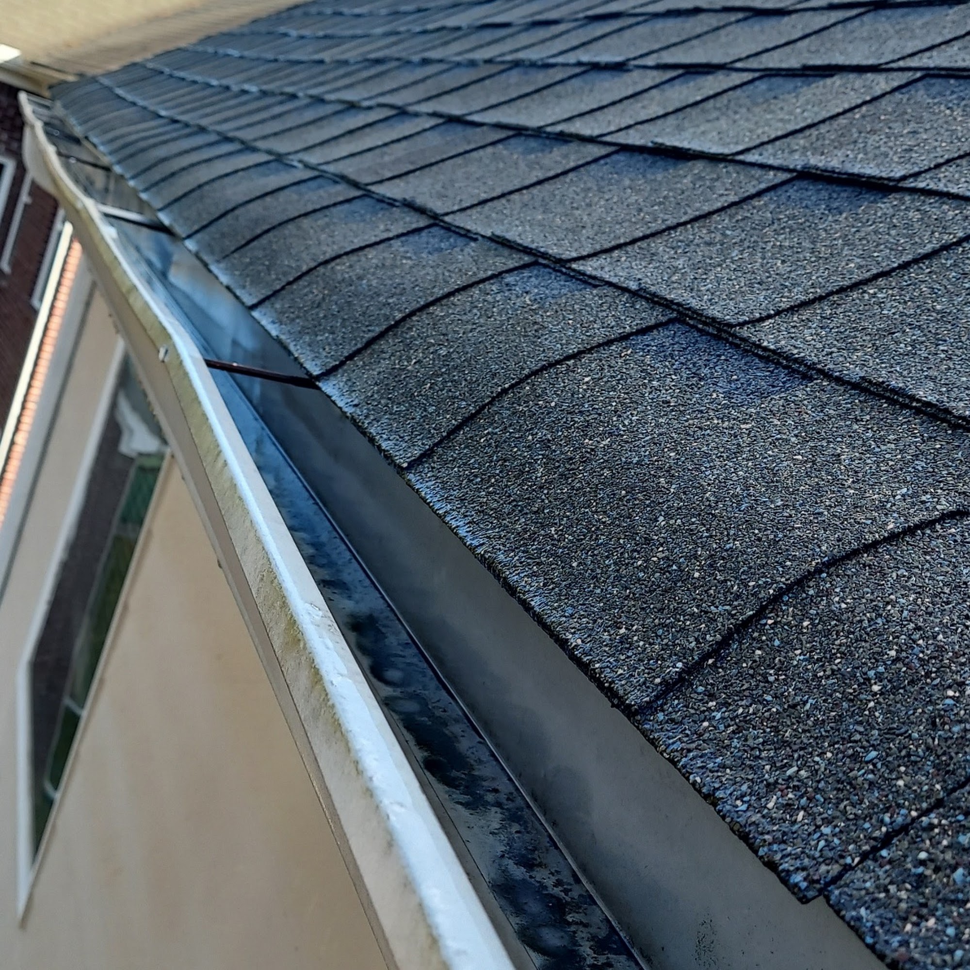 Pro Gutter Cleaning