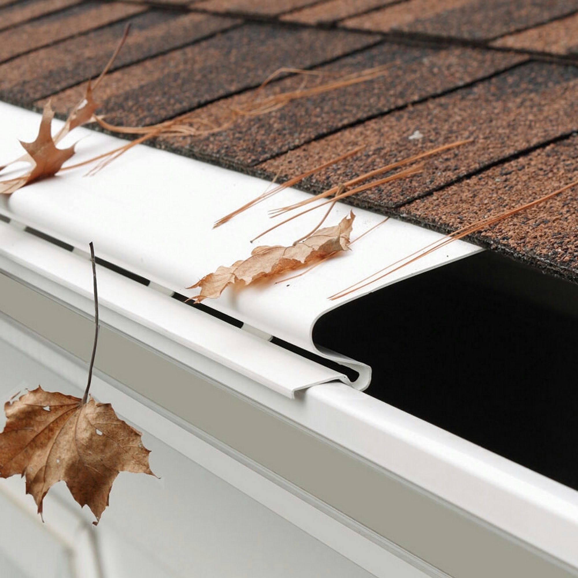 Pro Gutter Cleaning