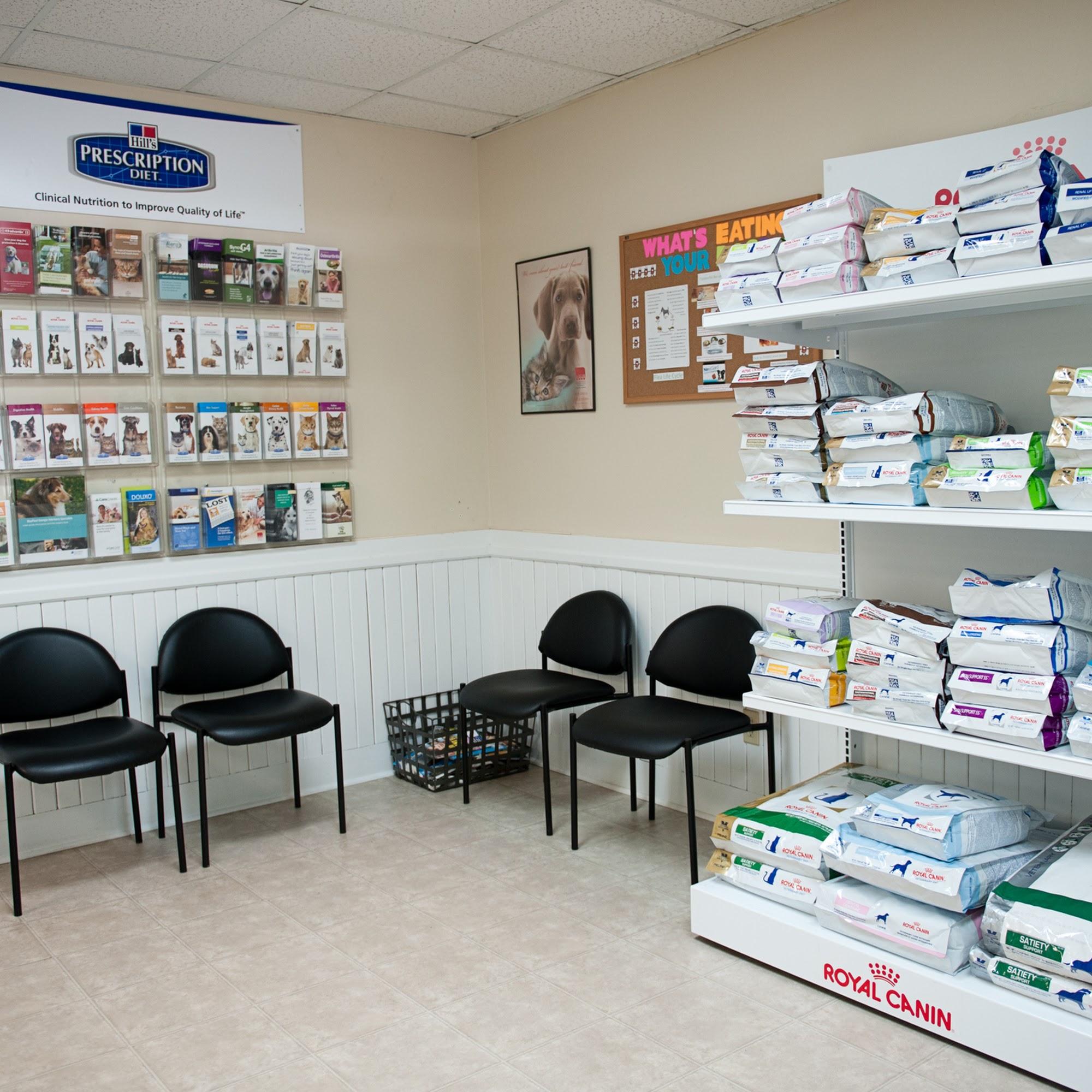 Four Paws Animal Hospital at Johns Creek Suwanee