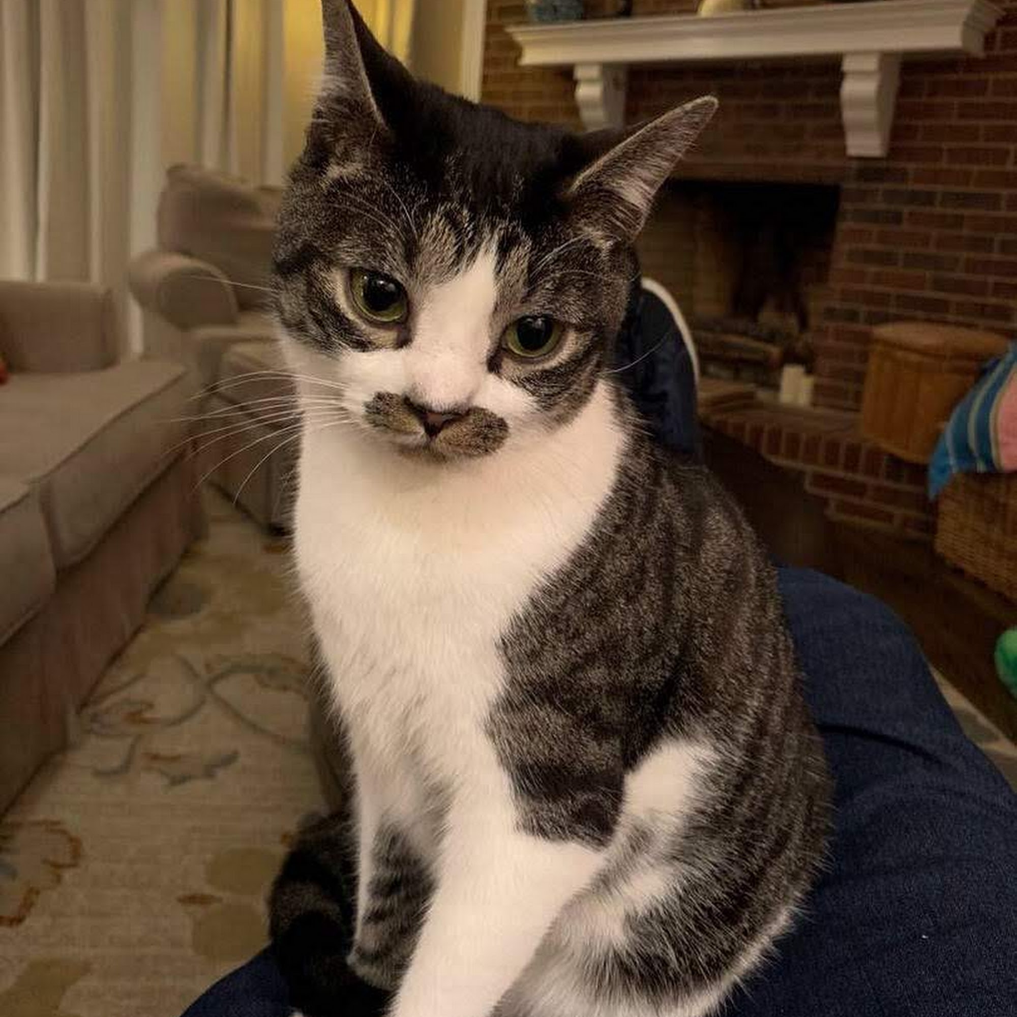 Tony Watson DVM Suwanee