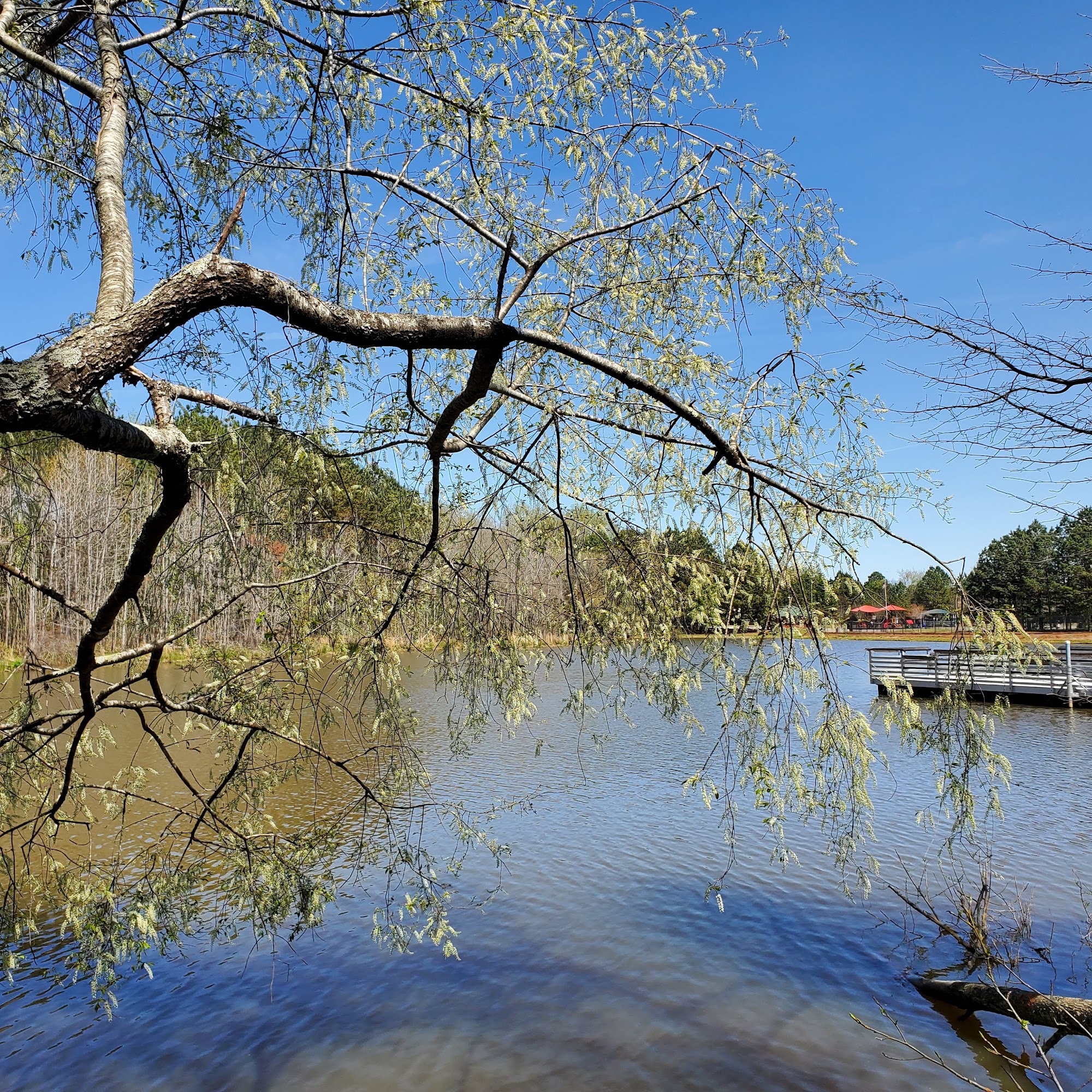 Blackstone Clubhouse Suwanee