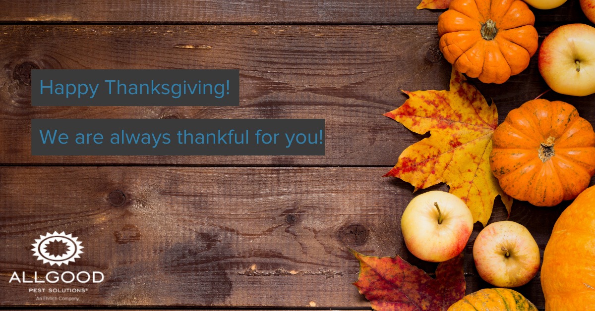 Allgood Pest Solutions