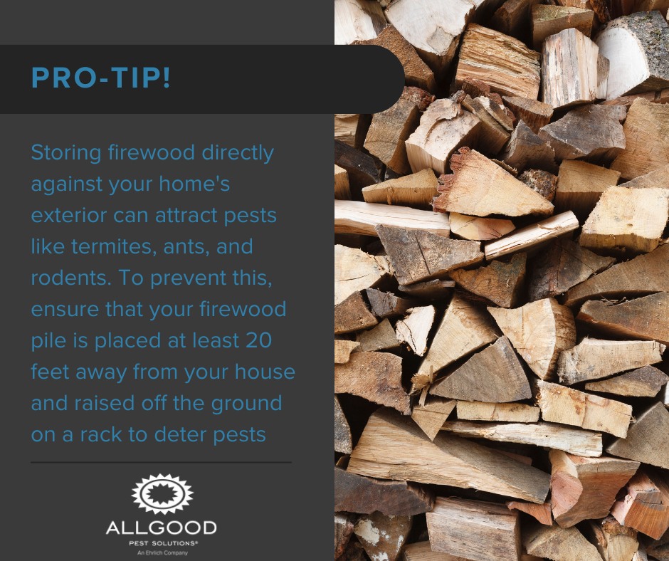 Allgood Pest Solutions