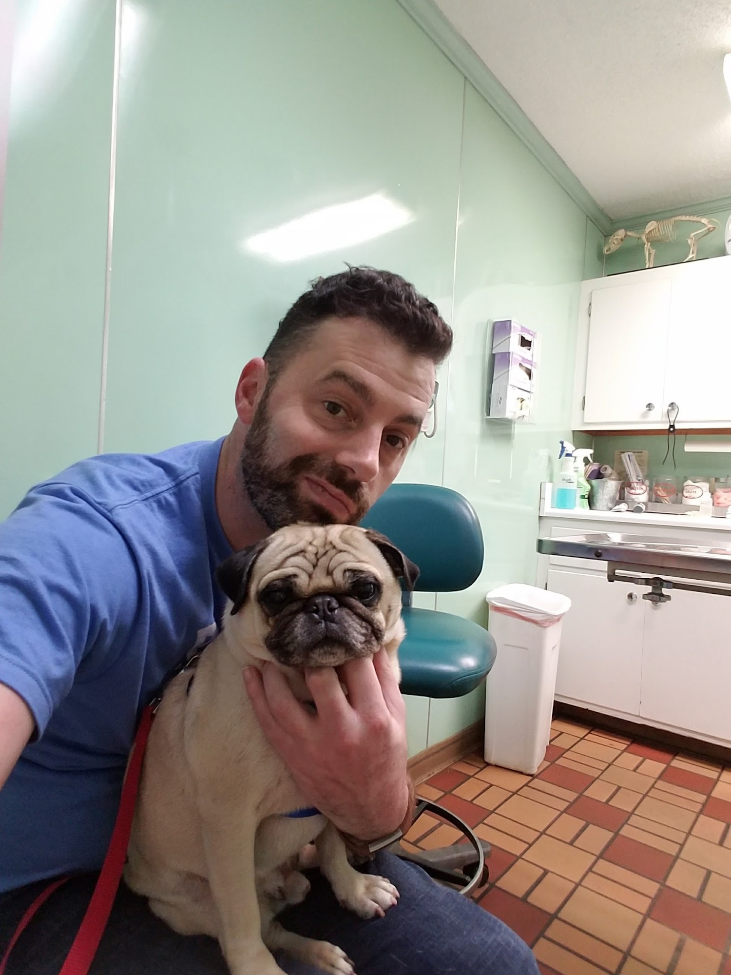 Sylvester Animal Hospital Sylvester