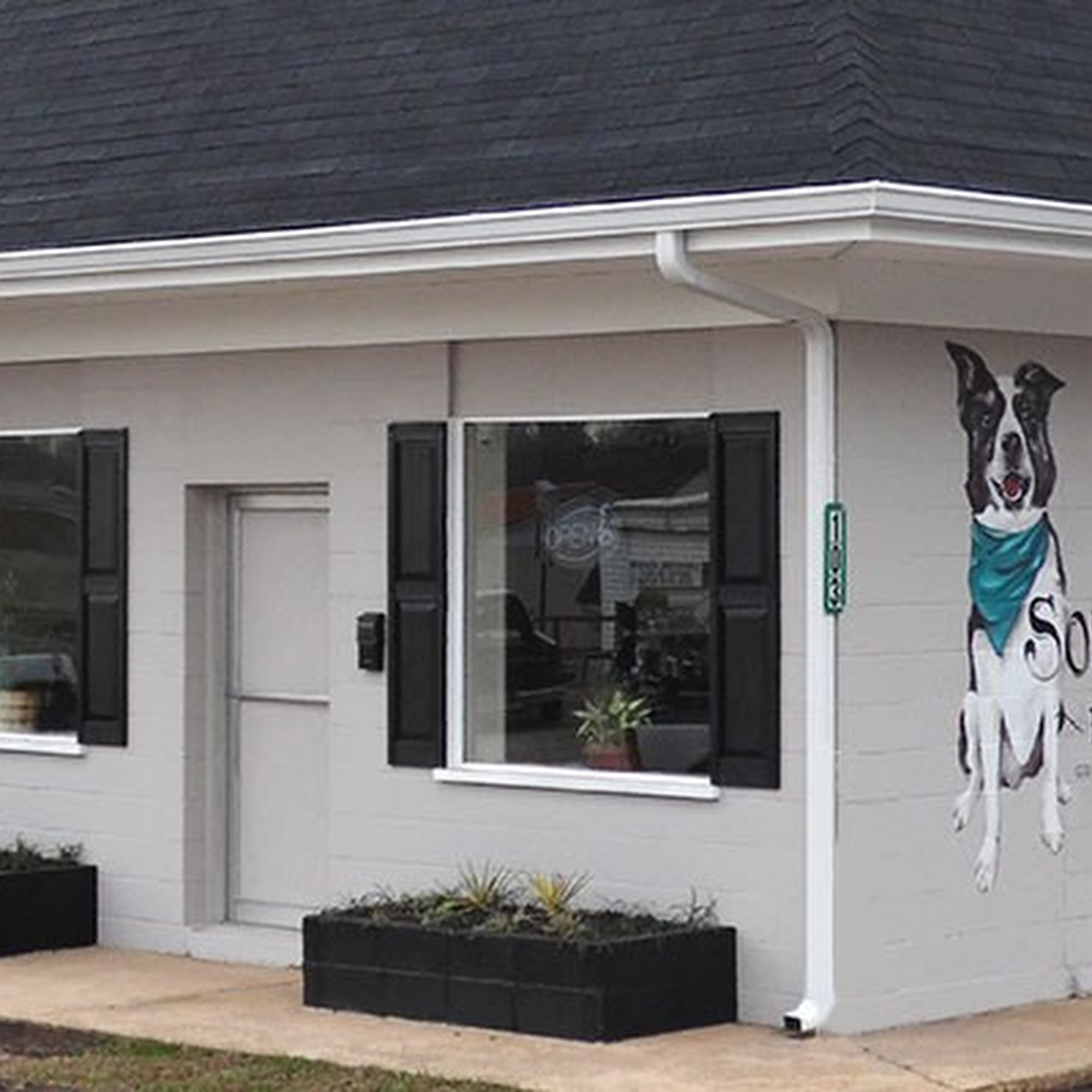 The Southern Pooch Thomaston