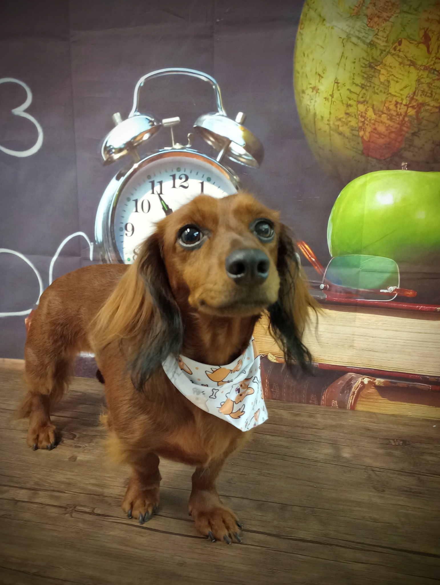 Grooms to Go LLC Thomasville