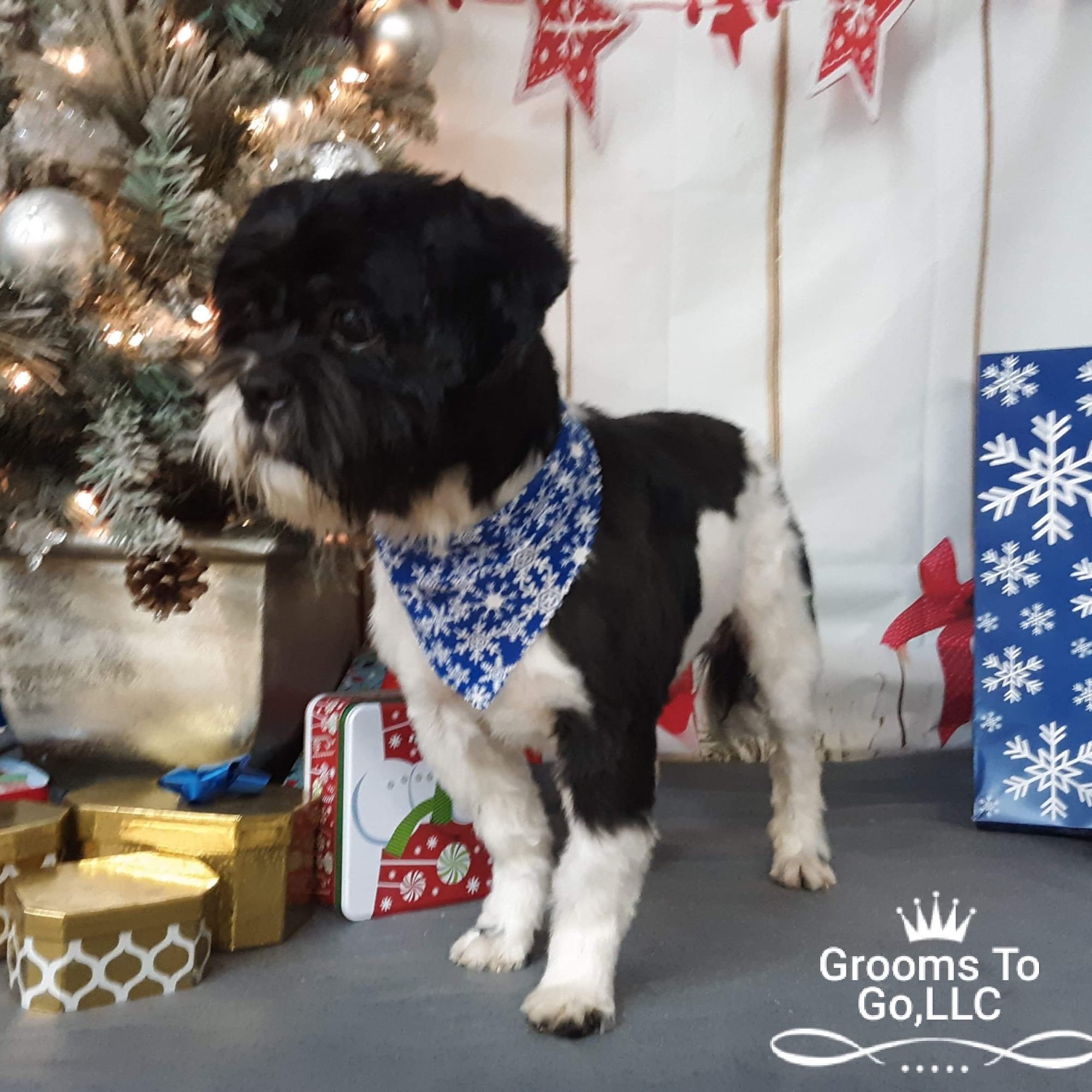 Grooms to Go LLC Thomasville