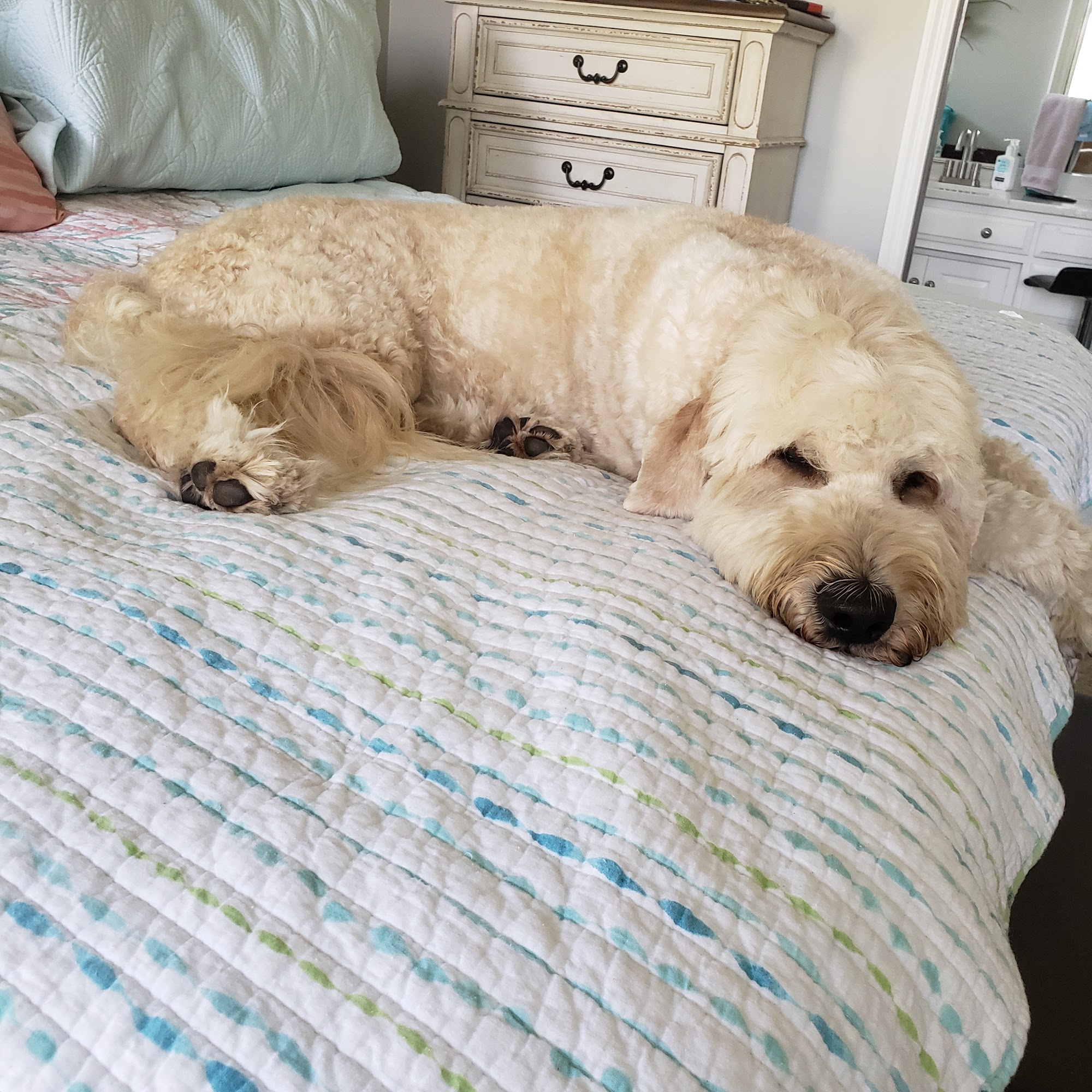 Petsense by Tractor Supply Tifton