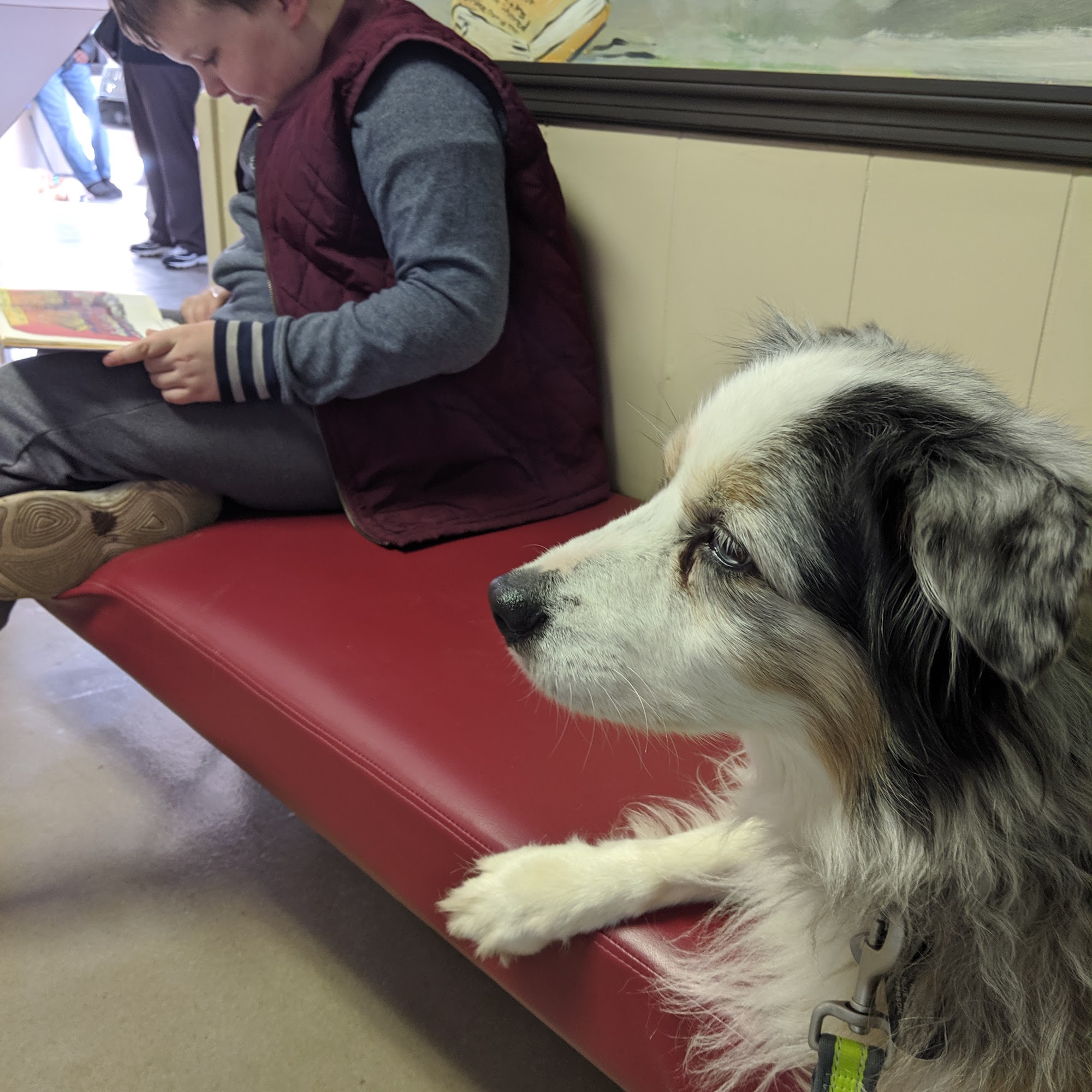 Quailwood Animal Hospital Tifton