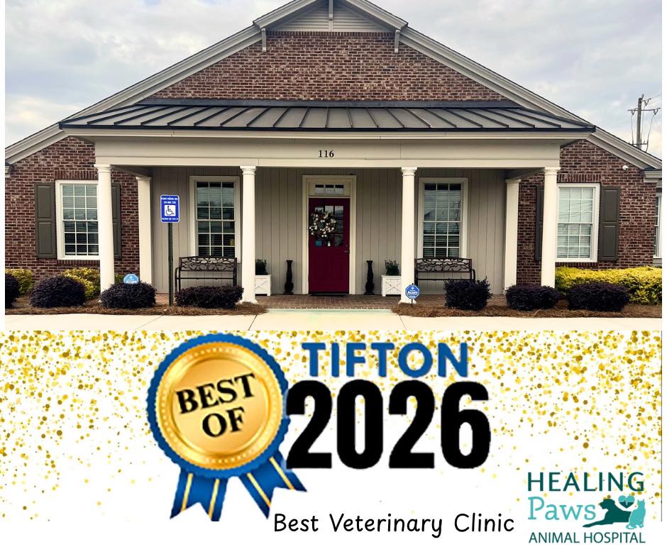Healing Paws Animal Hospital Tifton