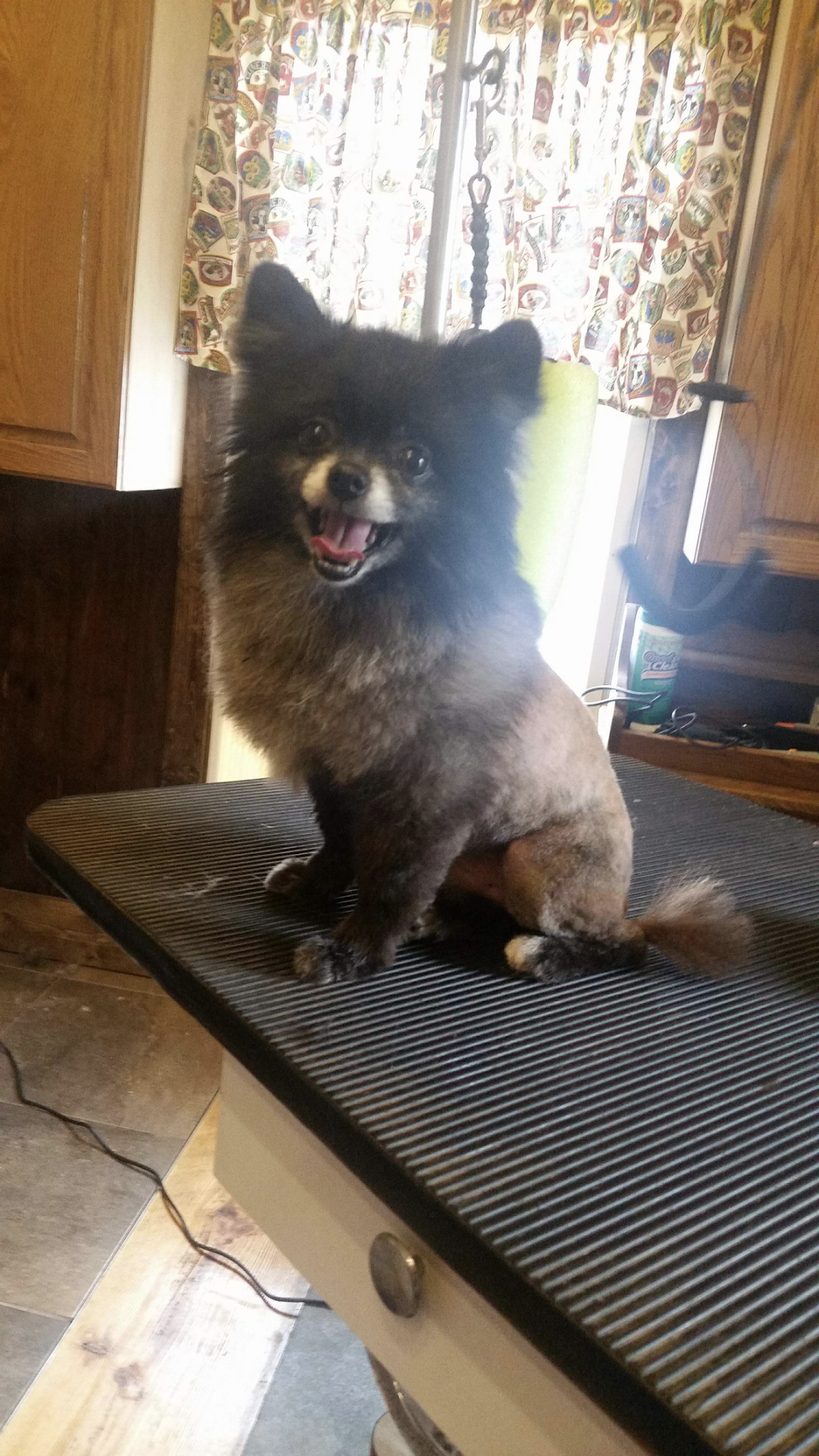 The Grooming Barn Toccoa