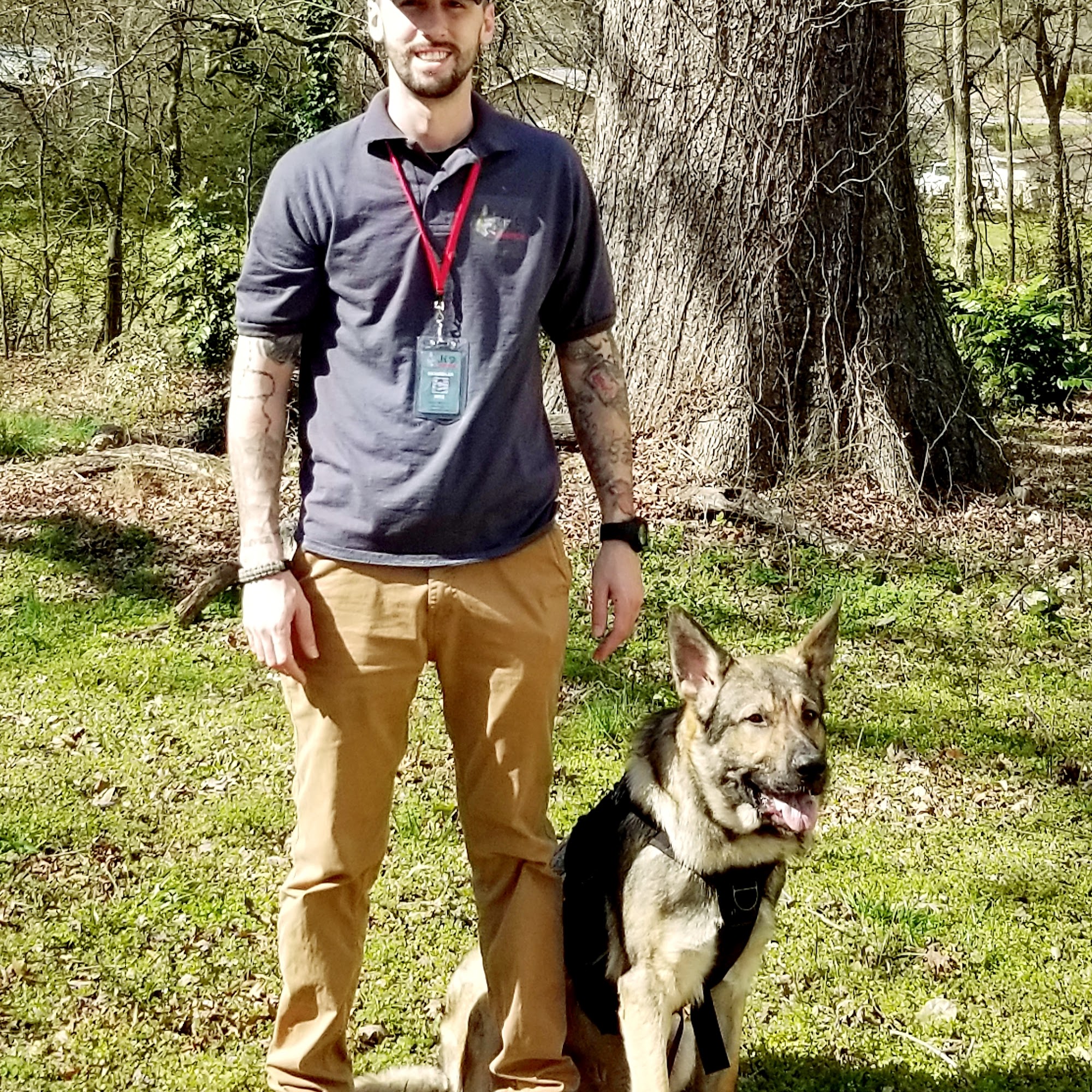 K9 Justice Dog Training Toccoa