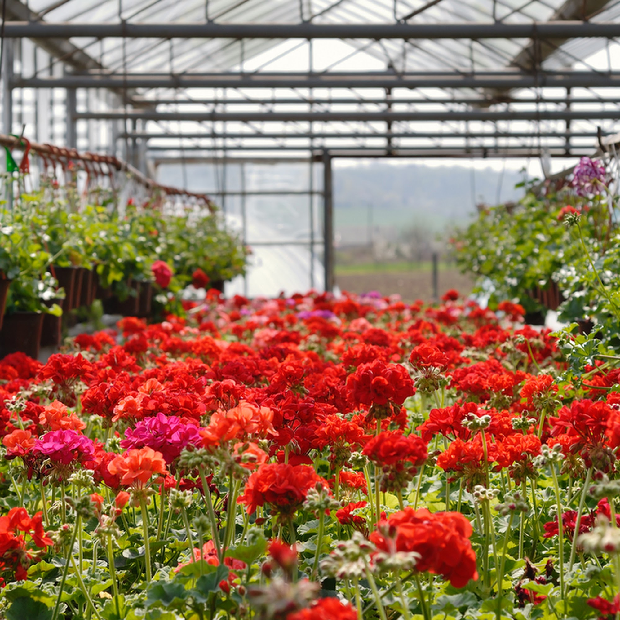 V N C Landscaping & Home & Garden Toccoa