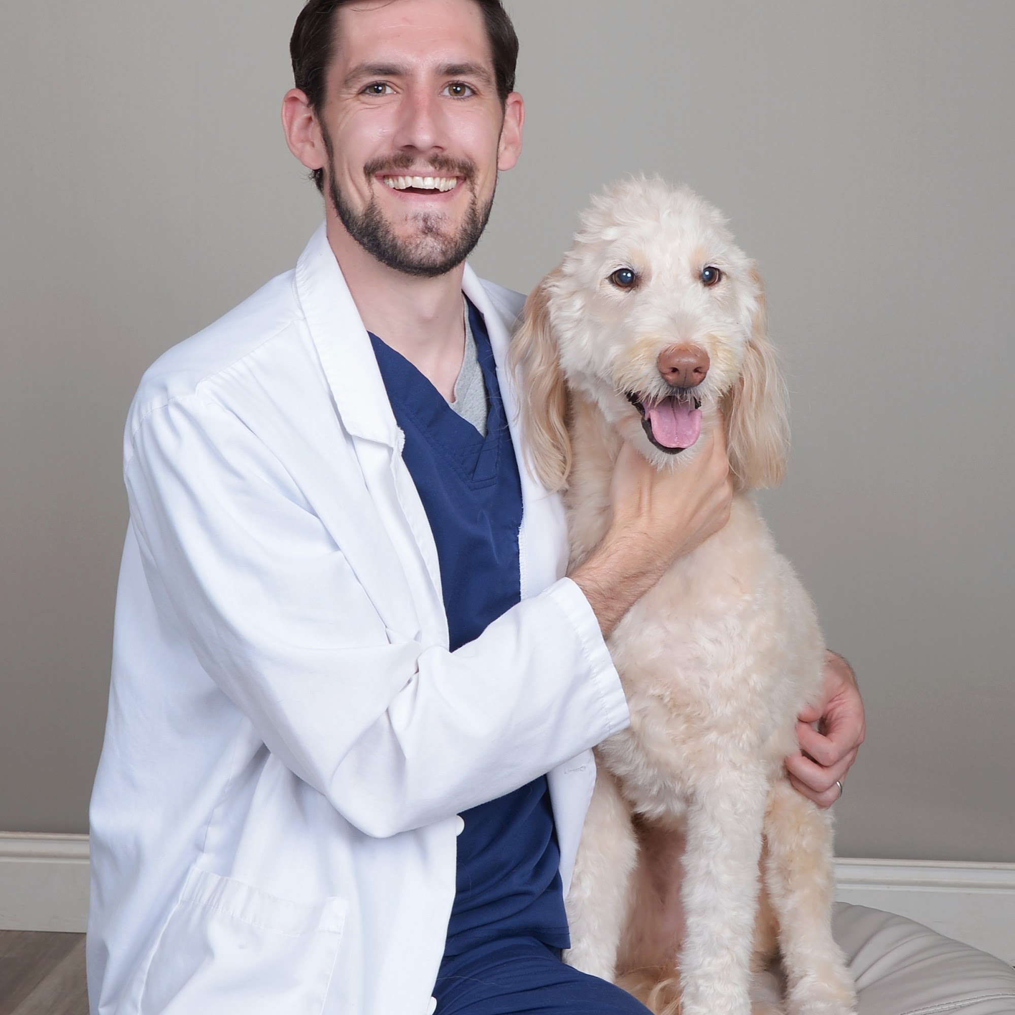 CityVet | Northlake Veterinary Clinic 2144 Northlake Pkwy Suite A-B, Tucker Georgia 30084