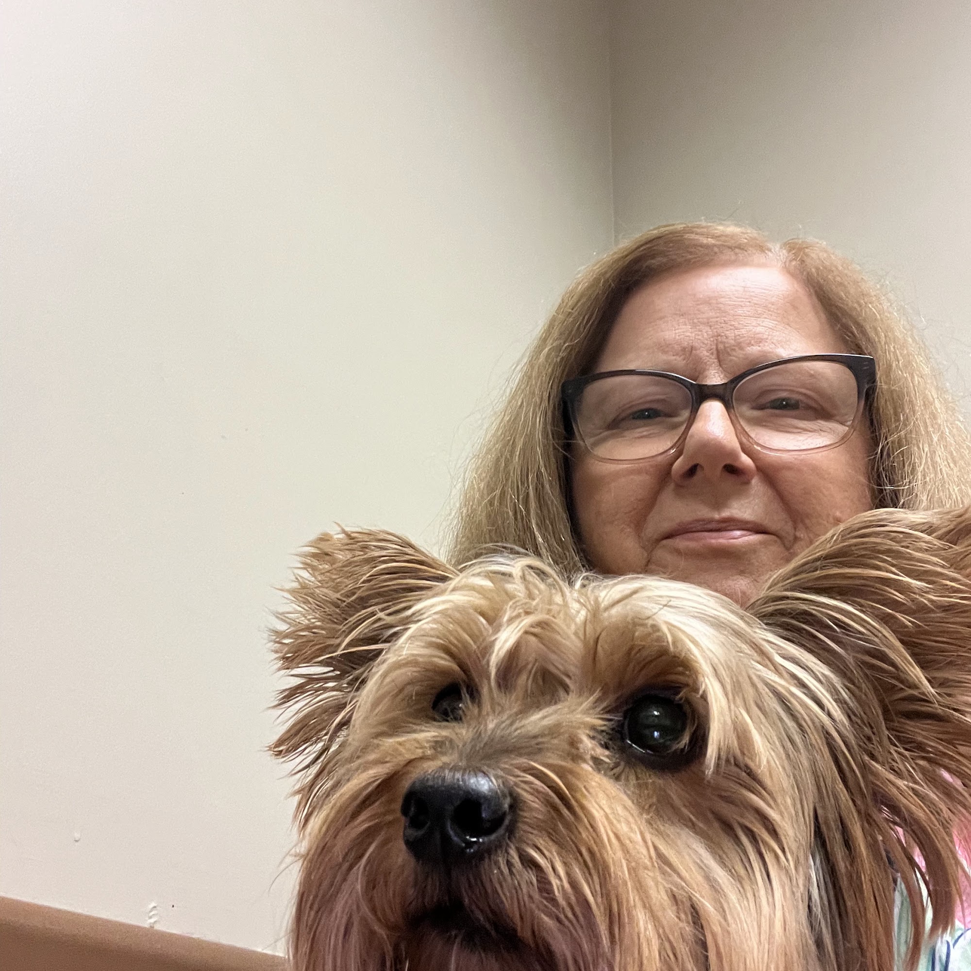 Azalea City Animal Hospital Pc Valdosta