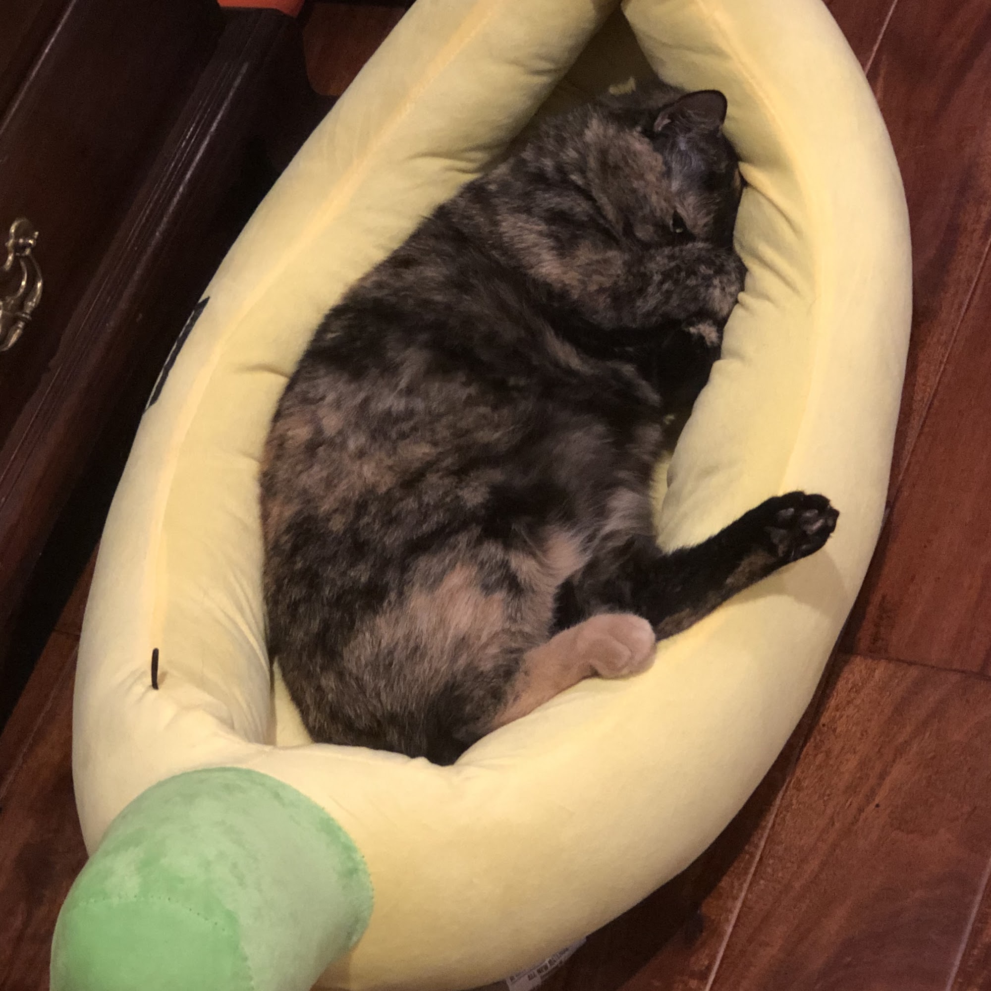 Veterinary Care Center of Valdosta Valdosta