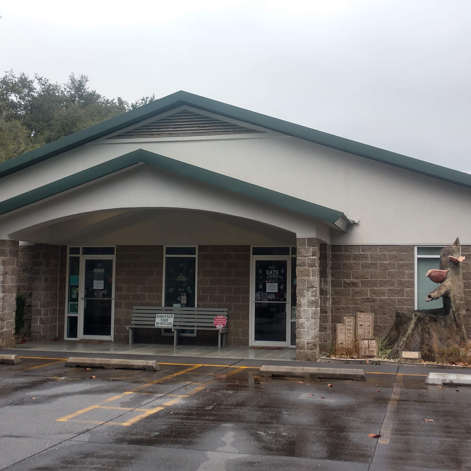 Thornhill Noah DVM Valdosta