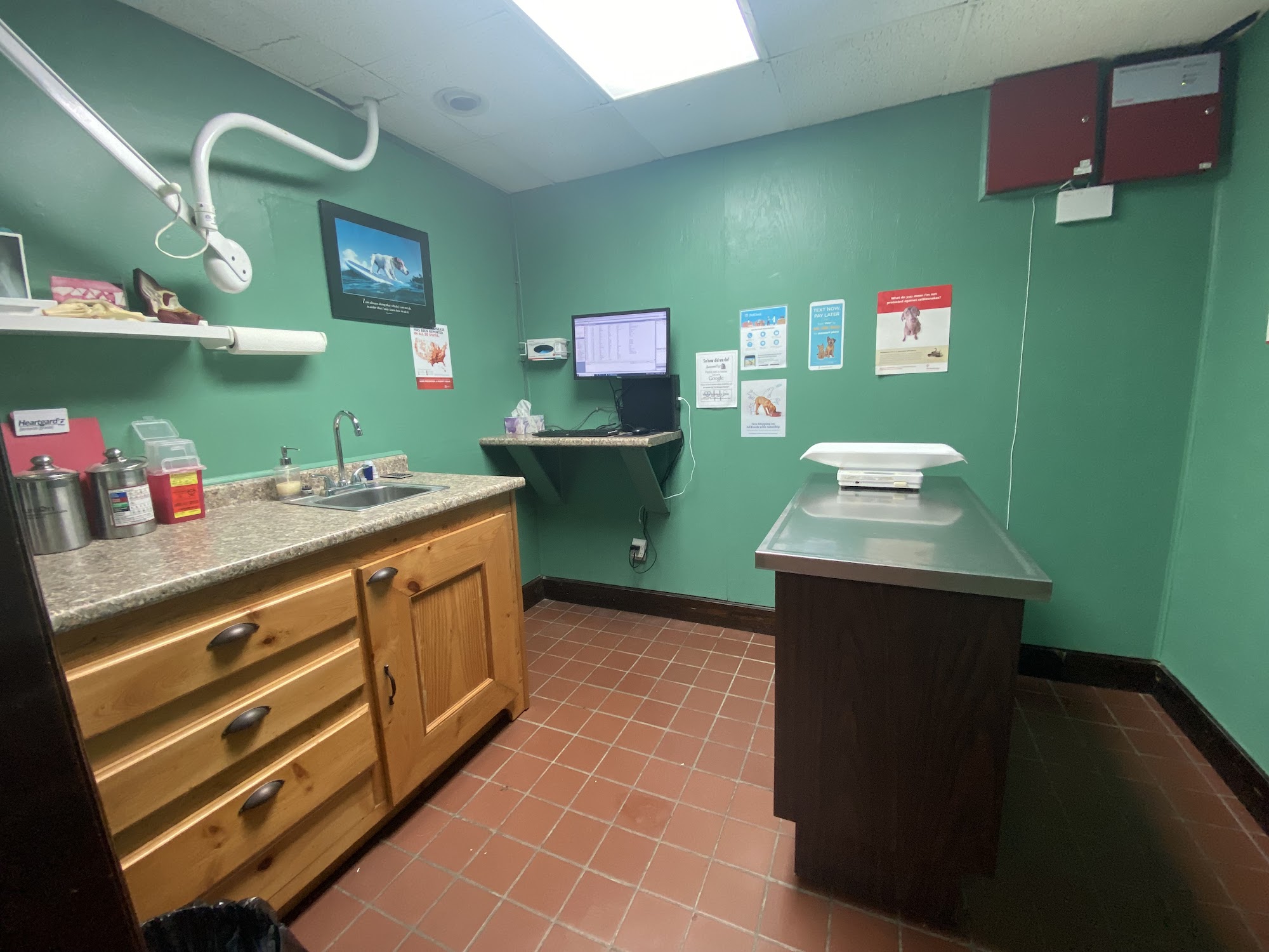 Vidalia Veterinary Clinic Vidalia