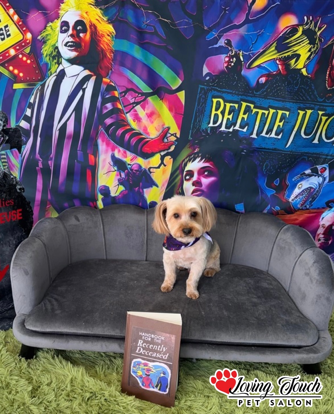 Loving Touch Pet Salon, Inc Warner Robins