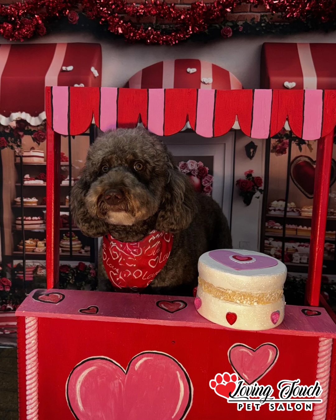 Loving Touch Pet Salon, Inc Warner Robins