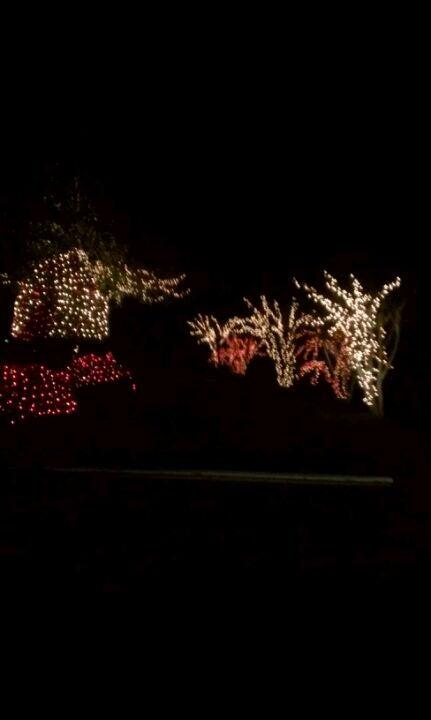 American Chiropractic Specialists