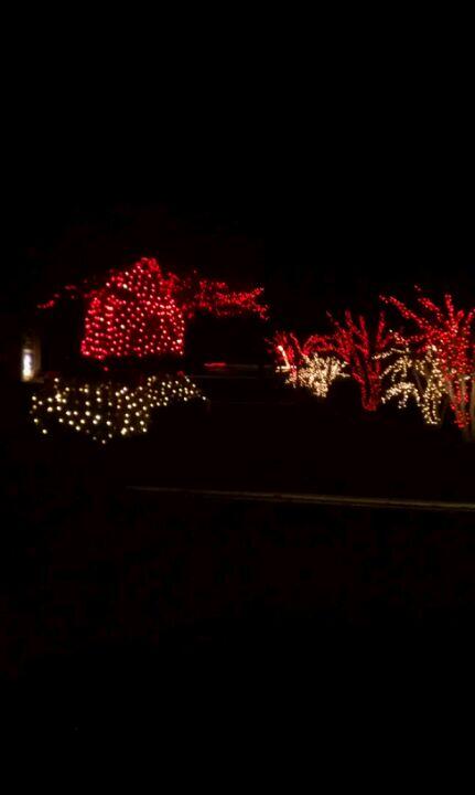 American Chiropractic Specialists