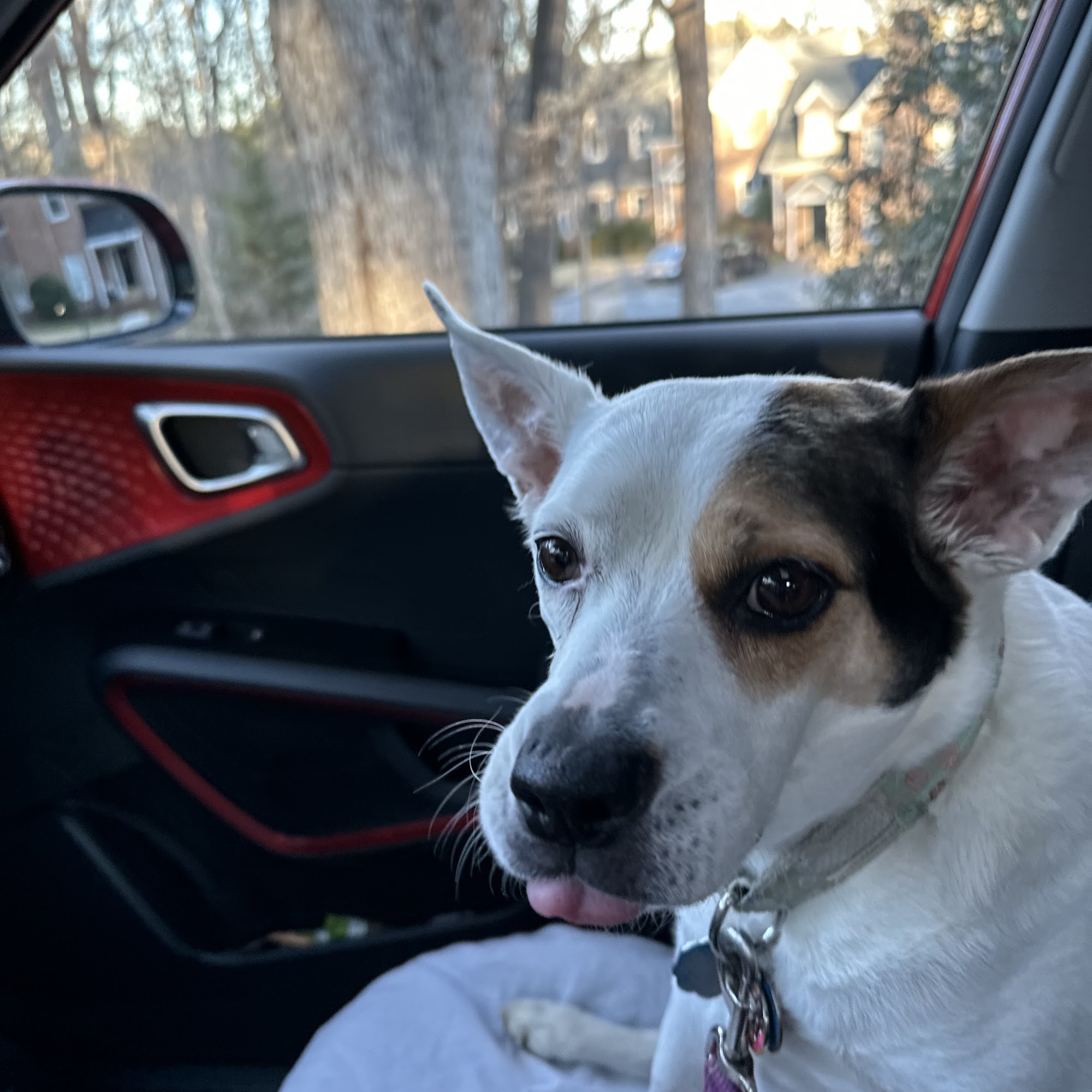 Oconee Veterinary Hospital Watkinsville