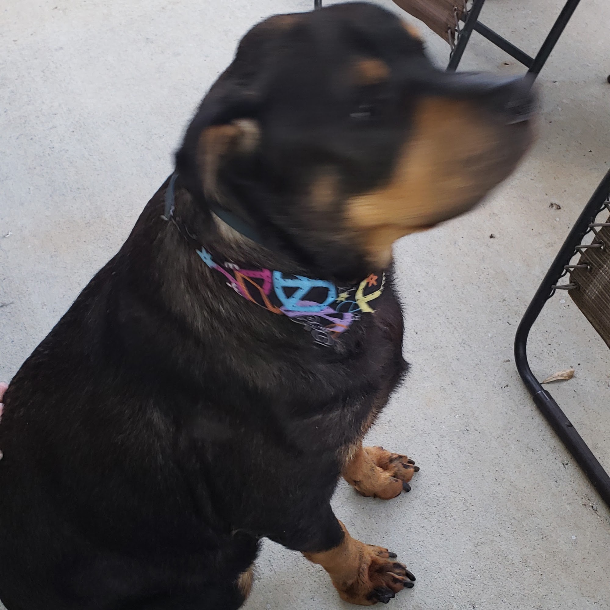 A Mobile Vet Inc Winder