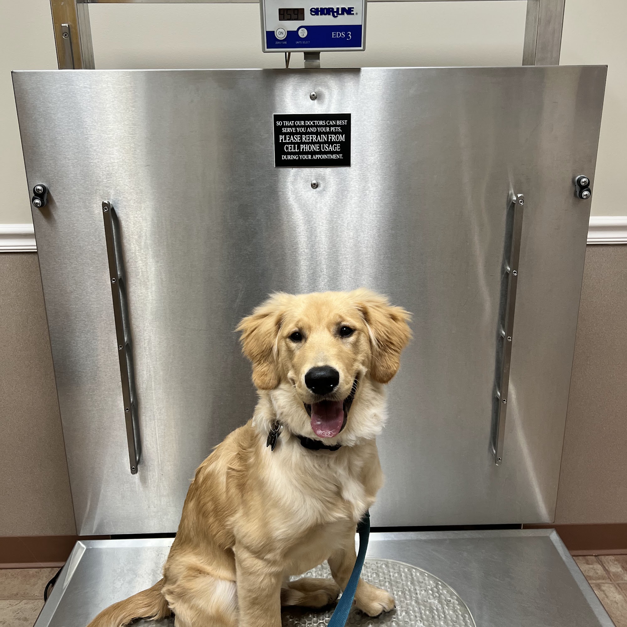 Allatoona Animal Hospital Woodstock