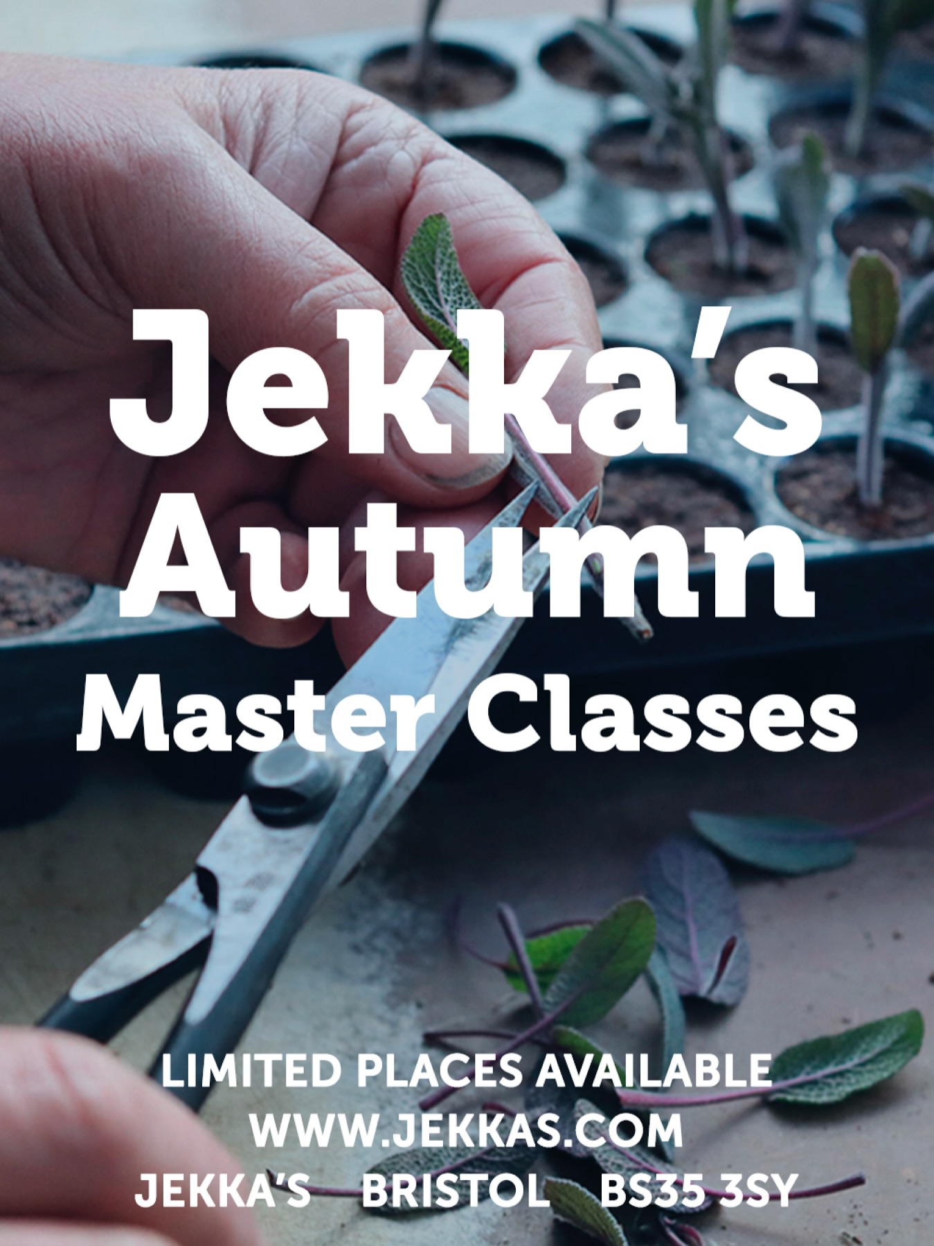 Jekka's